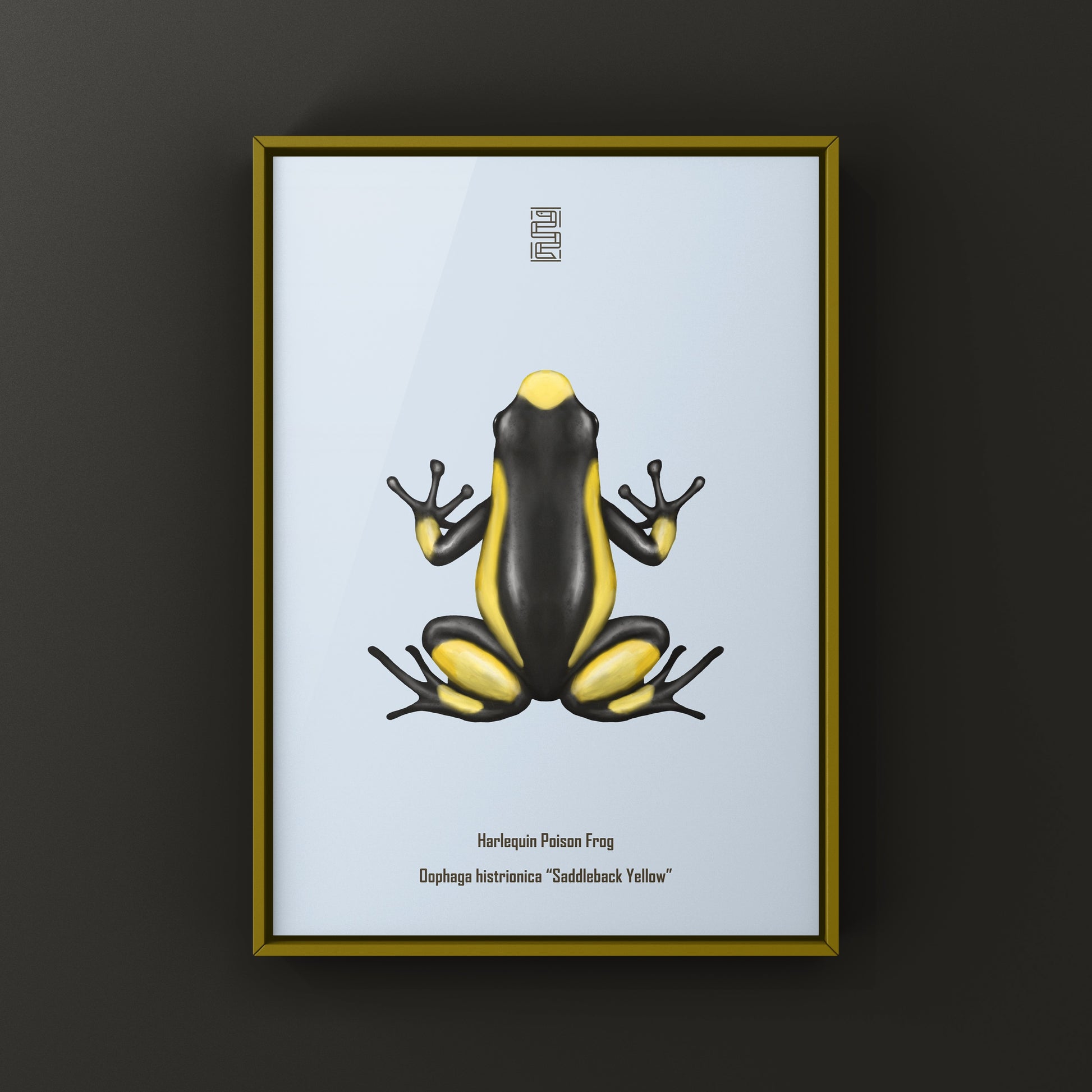 Colorful Saddleback Yellow Harlequin Poison Frog art print by The Silk Ranch, showcasing vibrant amphibian illustration on high-quality paper.