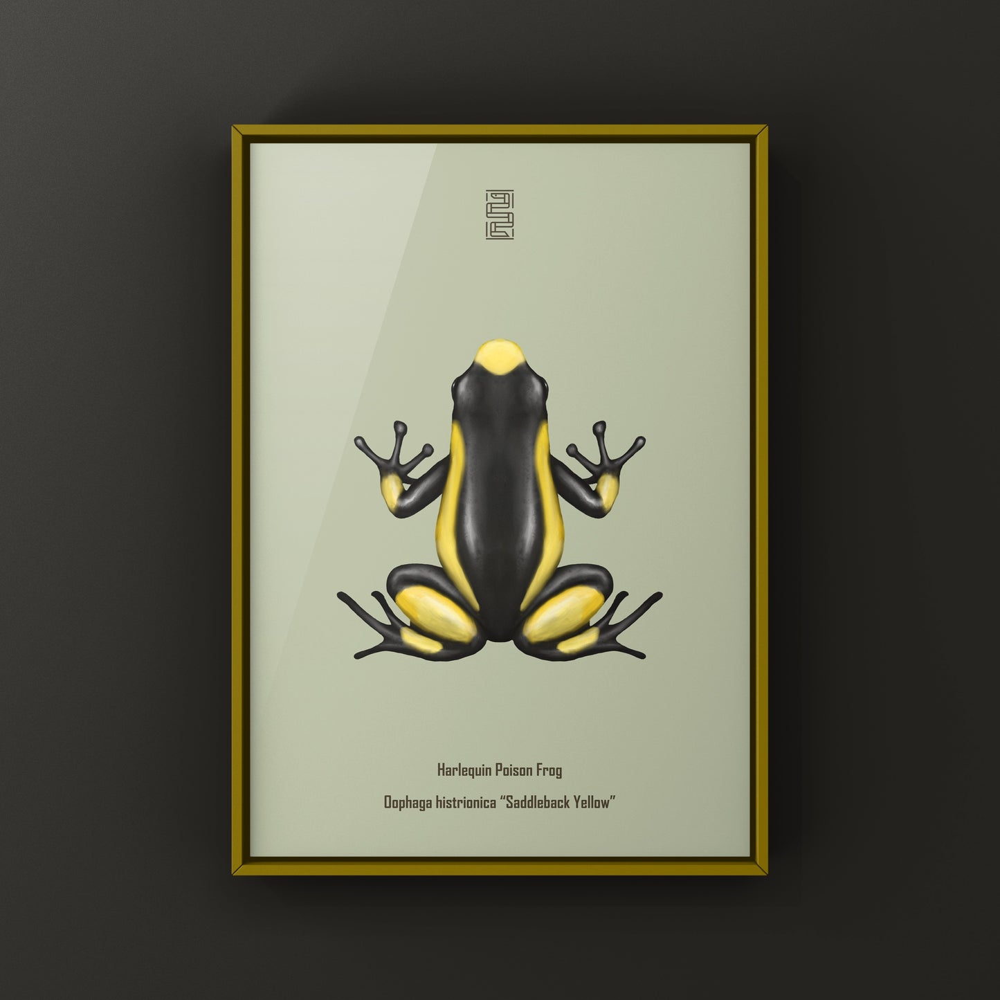 Colorful Saddleback Yellow Harlequin Poison Frog art print by The Silk Ranch, showcasing vibrant Oophaga histrionica details.