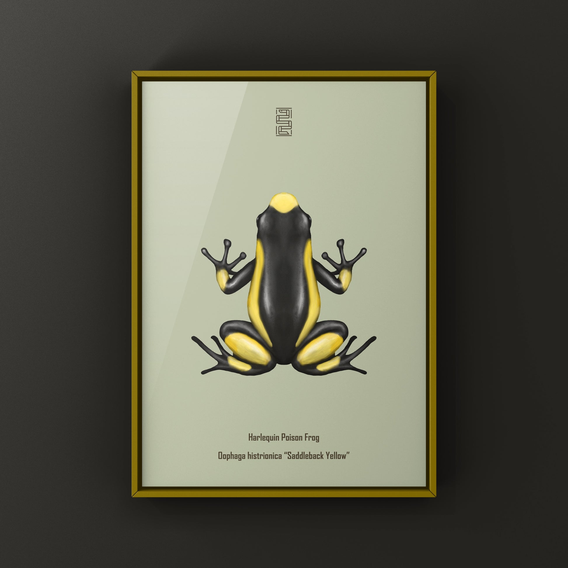 Colorful Saddleback Yellow Harlequin Poison Frog art print by The Silk Ranch, showcasing vibrant Oophaga histrionica details.