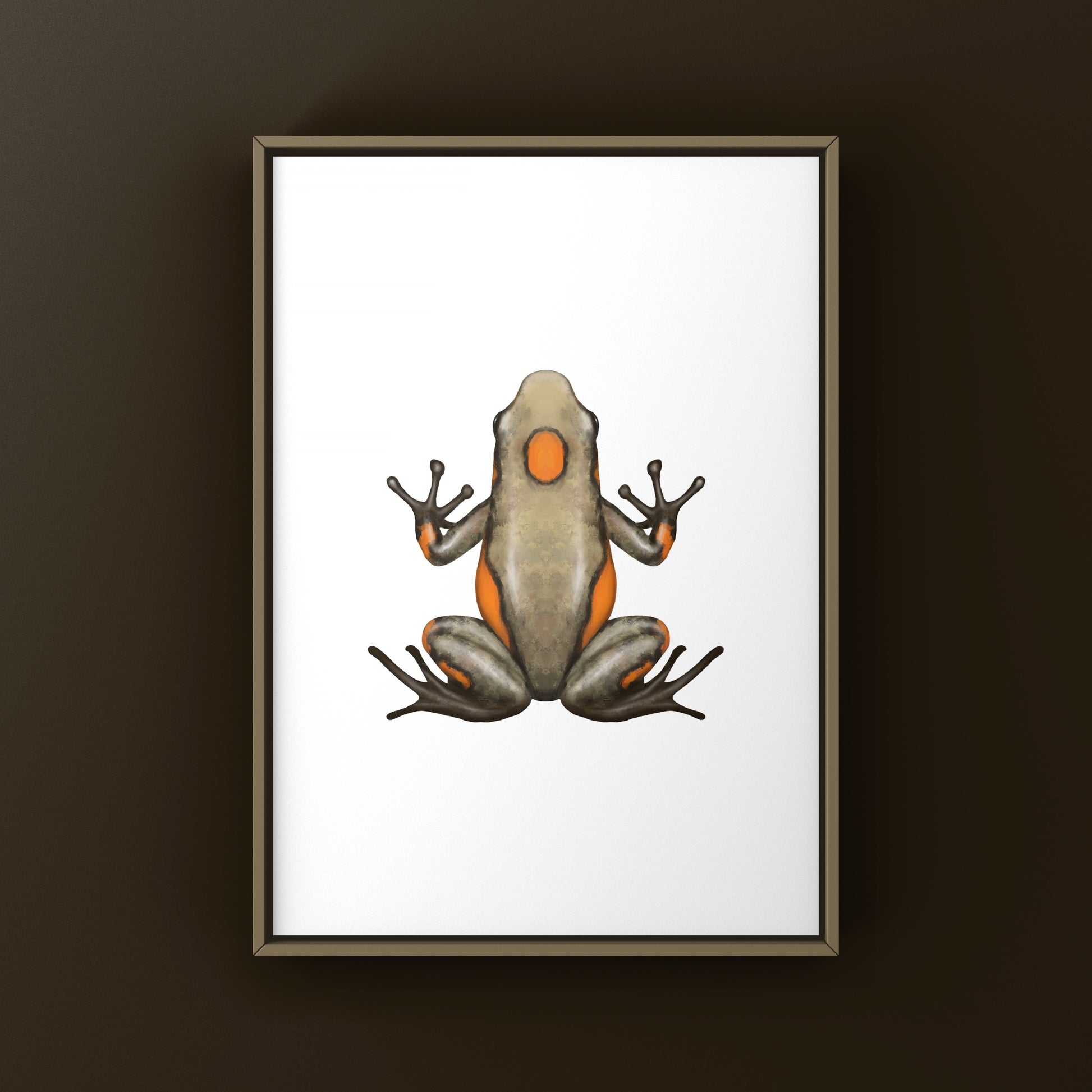 Colorful Tado Harlequin Poison Frog art print by The Silk Ranch, showcasing vibrant amphibian illustrations on high-quality paper.
