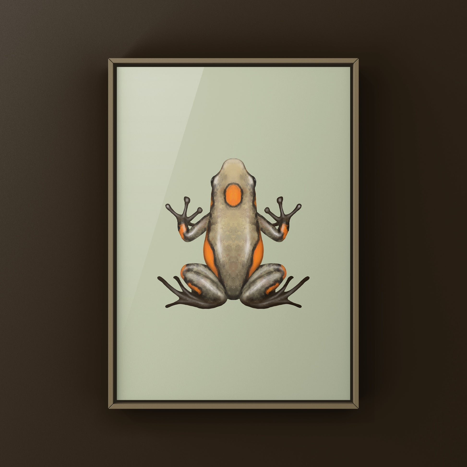 Colorful Tado Harlequin Poison Frog art print featuring vibrant Oophaga histrionica on a white background.