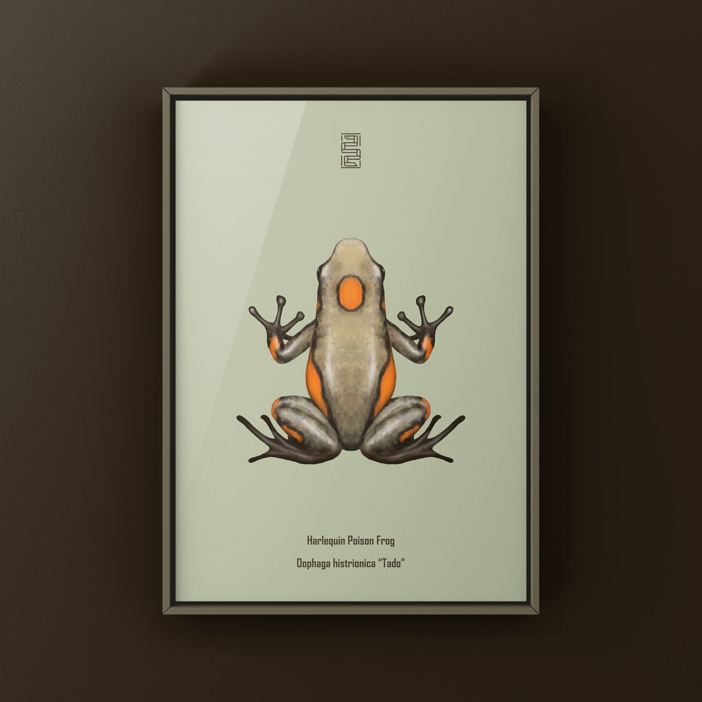 Colorful Tado Harlequin Poison Frog art print by The Silk Ranch, featuring vibrant Oophaga histrionica illustration.