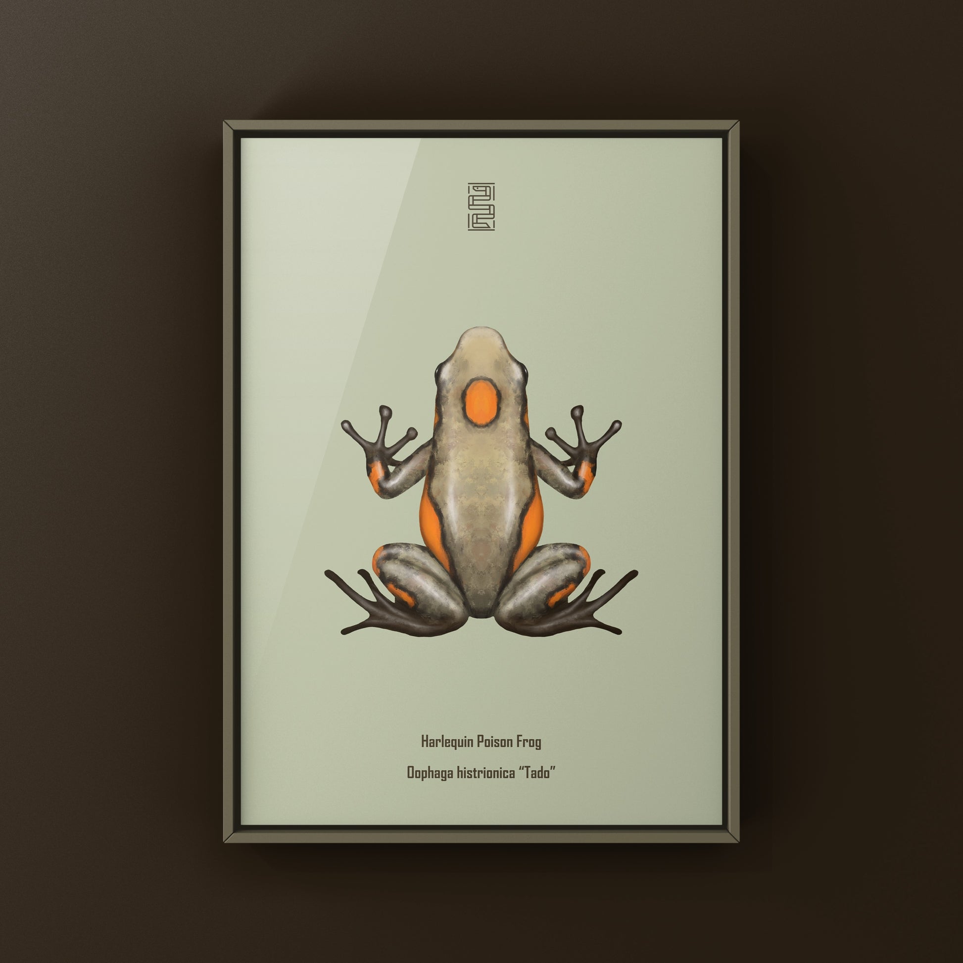 Colorful Tado Harlequin Poison Frog art print by The Silk Ranch, featuring vibrant Oophaga histrionica illustration.