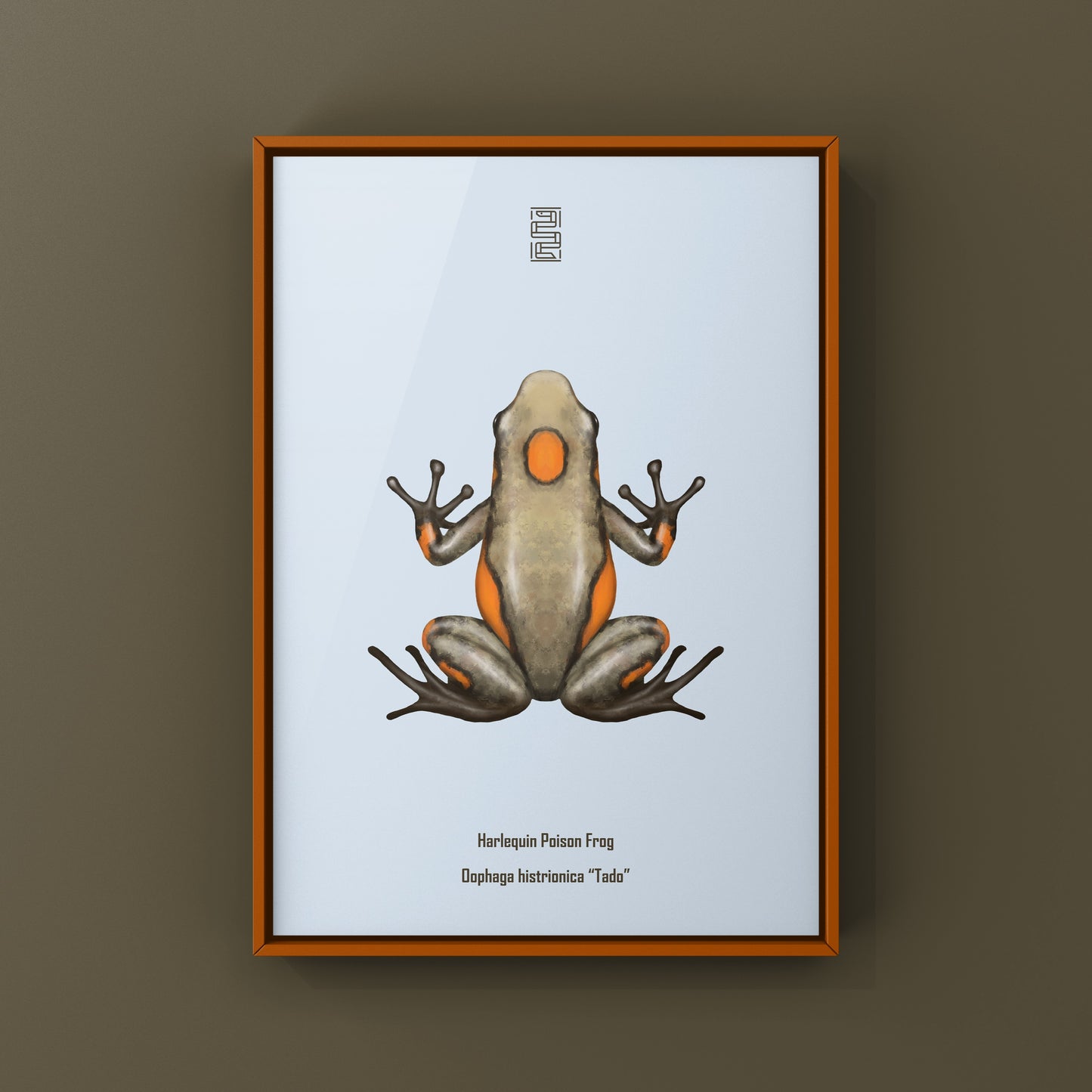 Colorful Tado Harlequin Poison Frog art print featuring vibrant orange, blue, and black markings on a natural background.