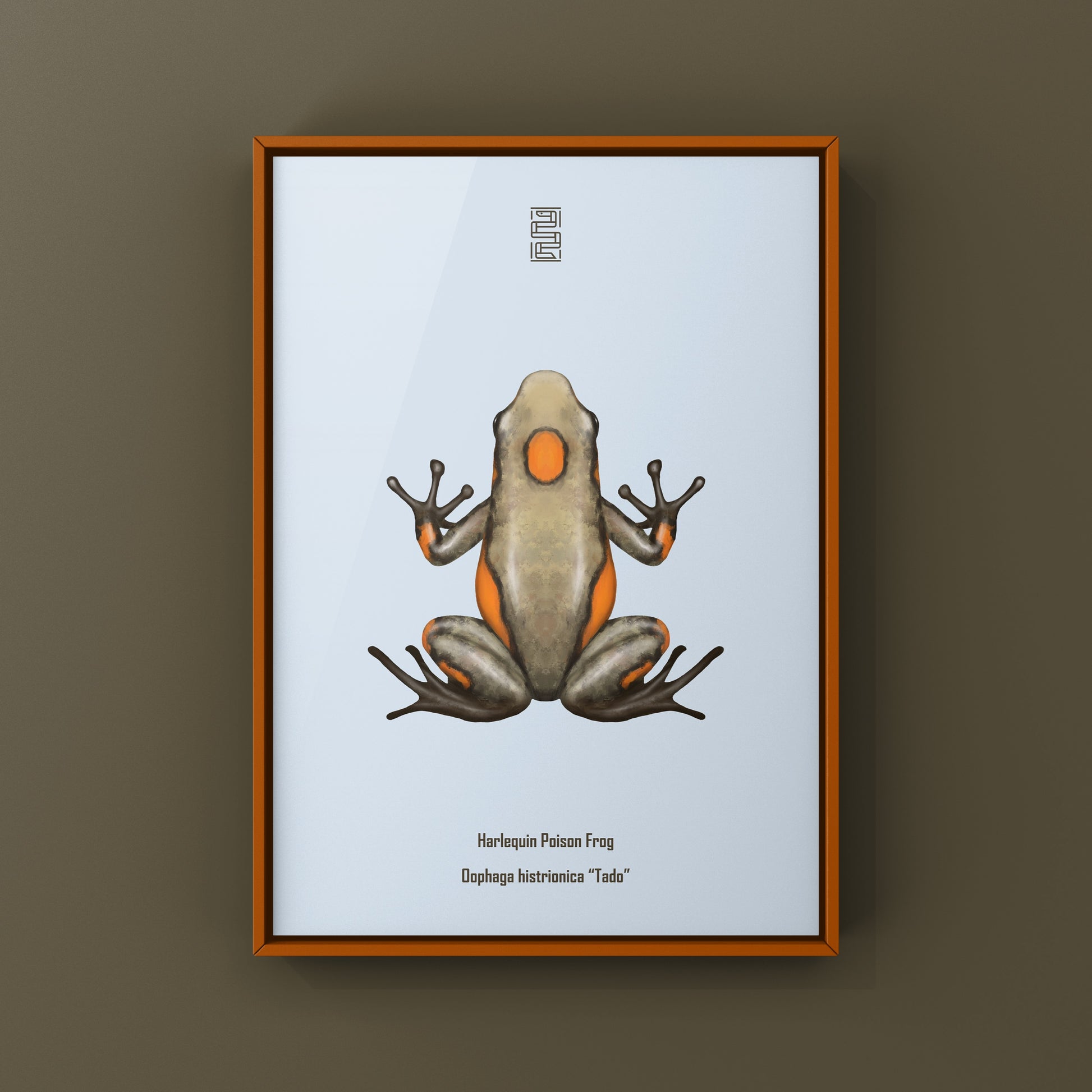 Colorful Tado Harlequin Poison Frog art print featuring vibrant orange, blue, and black markings on a natural background.