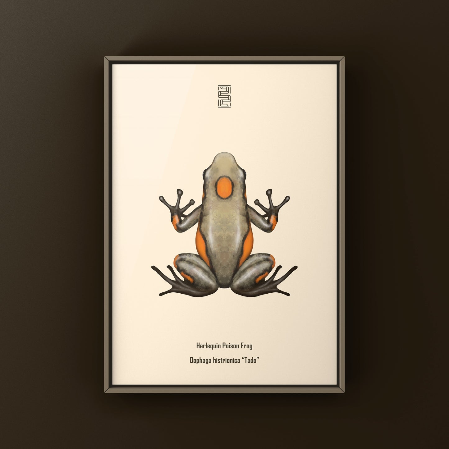Colorful Tado Harlequin Poison Frog art print featuring vibrant Oophaga histrionica illustrations by The Silk Ranch.