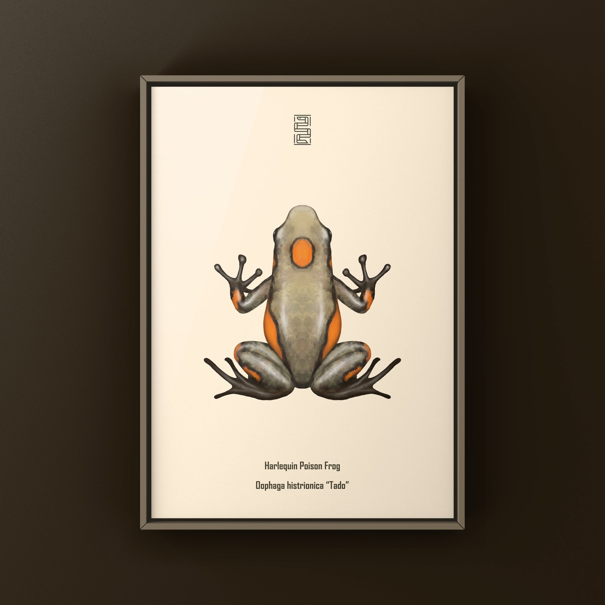Colorful Tado Harlequin Poison Frog art print featuring vibrant Oophaga histrionica illustrations by The Silk Ranch.