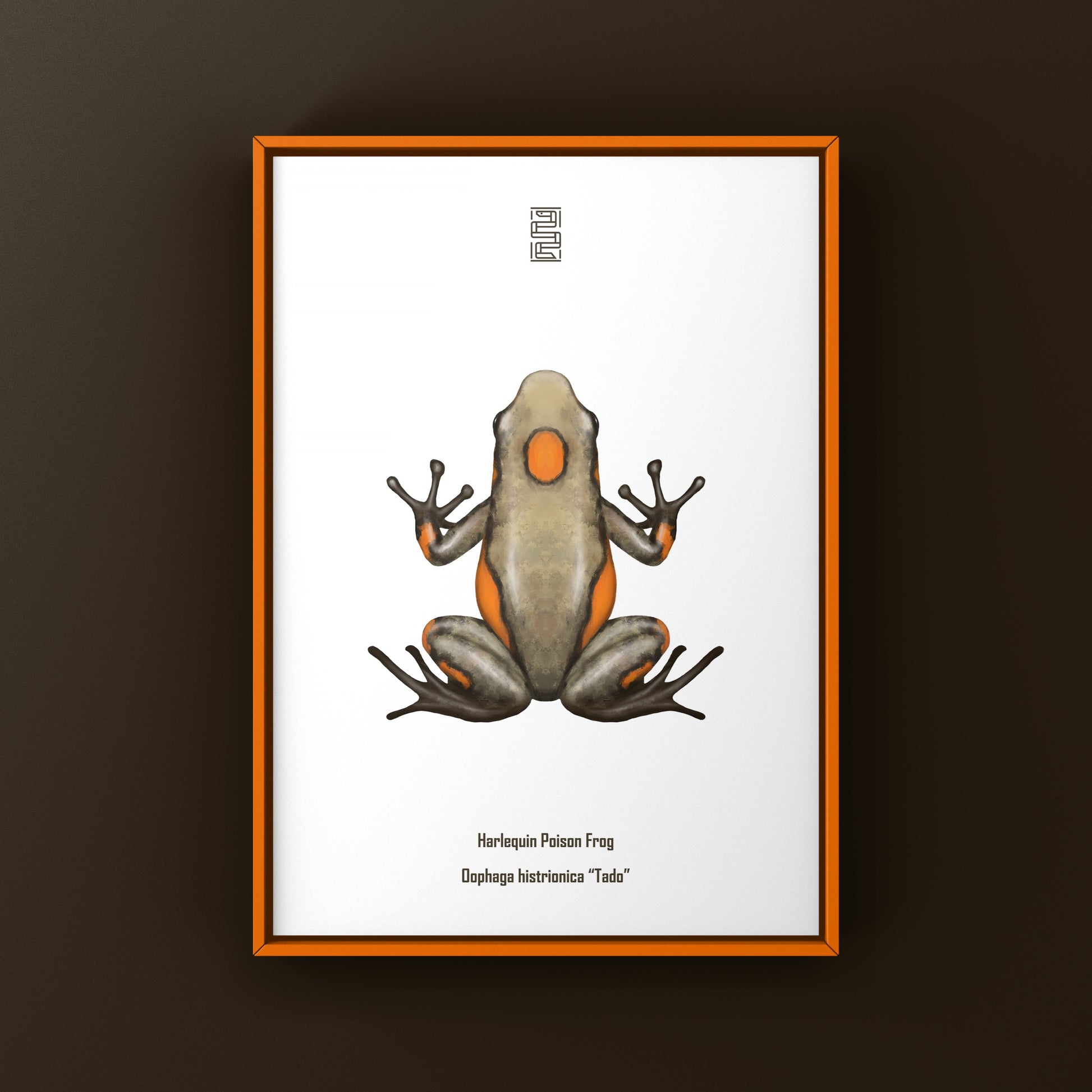 Colorful Tado Harlequin Poison Frog art print by The Silk Ranch showcasing vibrant Oophaga histrionica illustration.