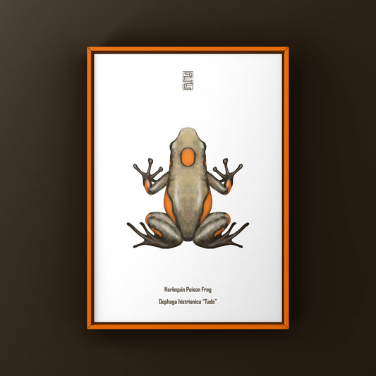 Colorful Tado Harlequin Poison Frog art print by The Silk Ranch showcasing vibrant Oophaga histrionica illustration.