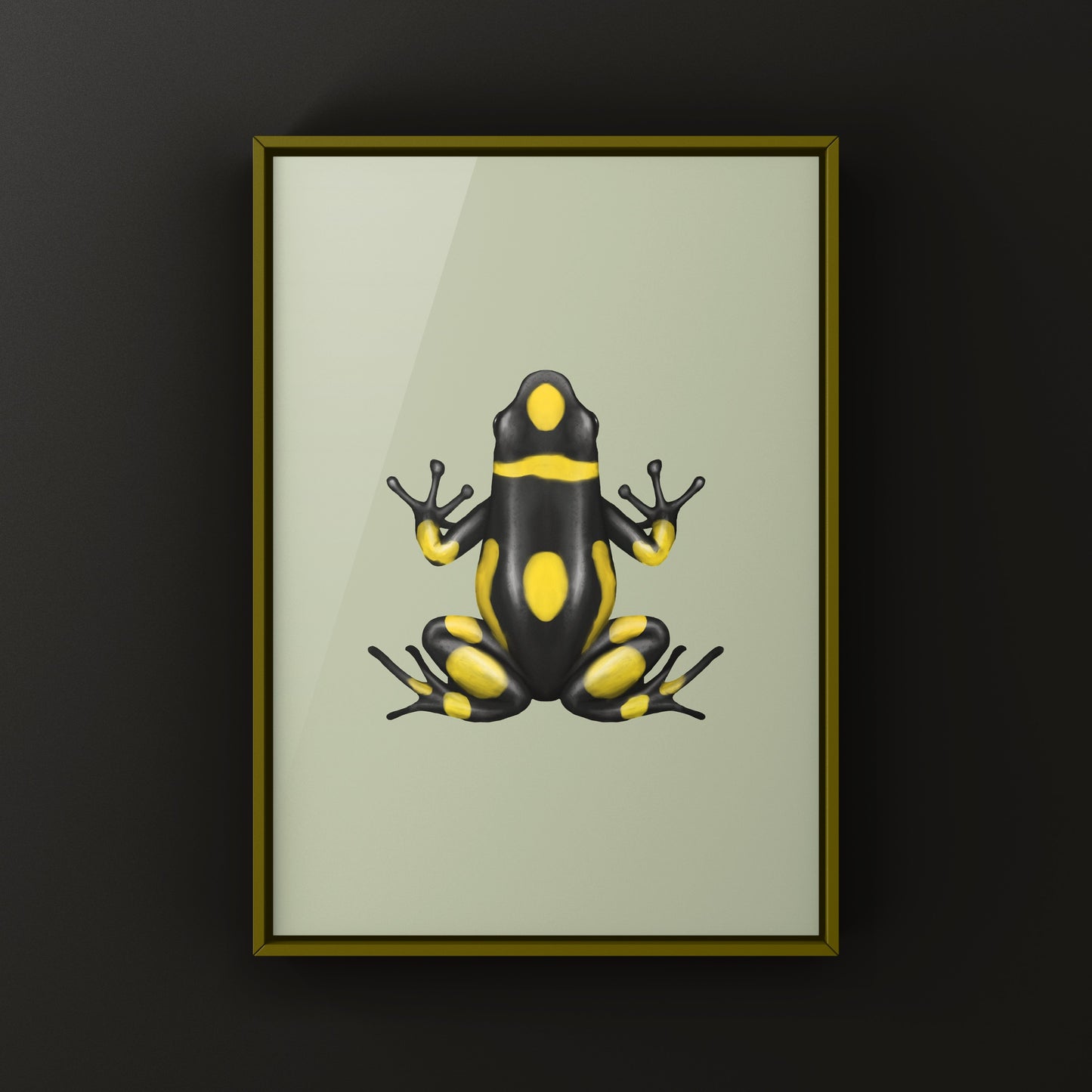 Colorful Playa de Oro Harlequin Poison Frog art print by The Silk Ranch, showcasing vibrant amphibian artwork on high-quality paper.