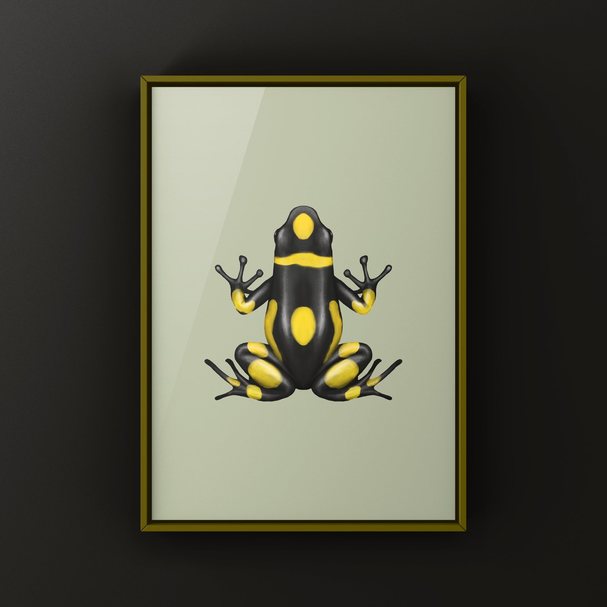 Colorful Playa de Oro Harlequin Poison Frog art print by The Silk Ranch, showcasing vibrant amphibian artwork on high-quality paper.