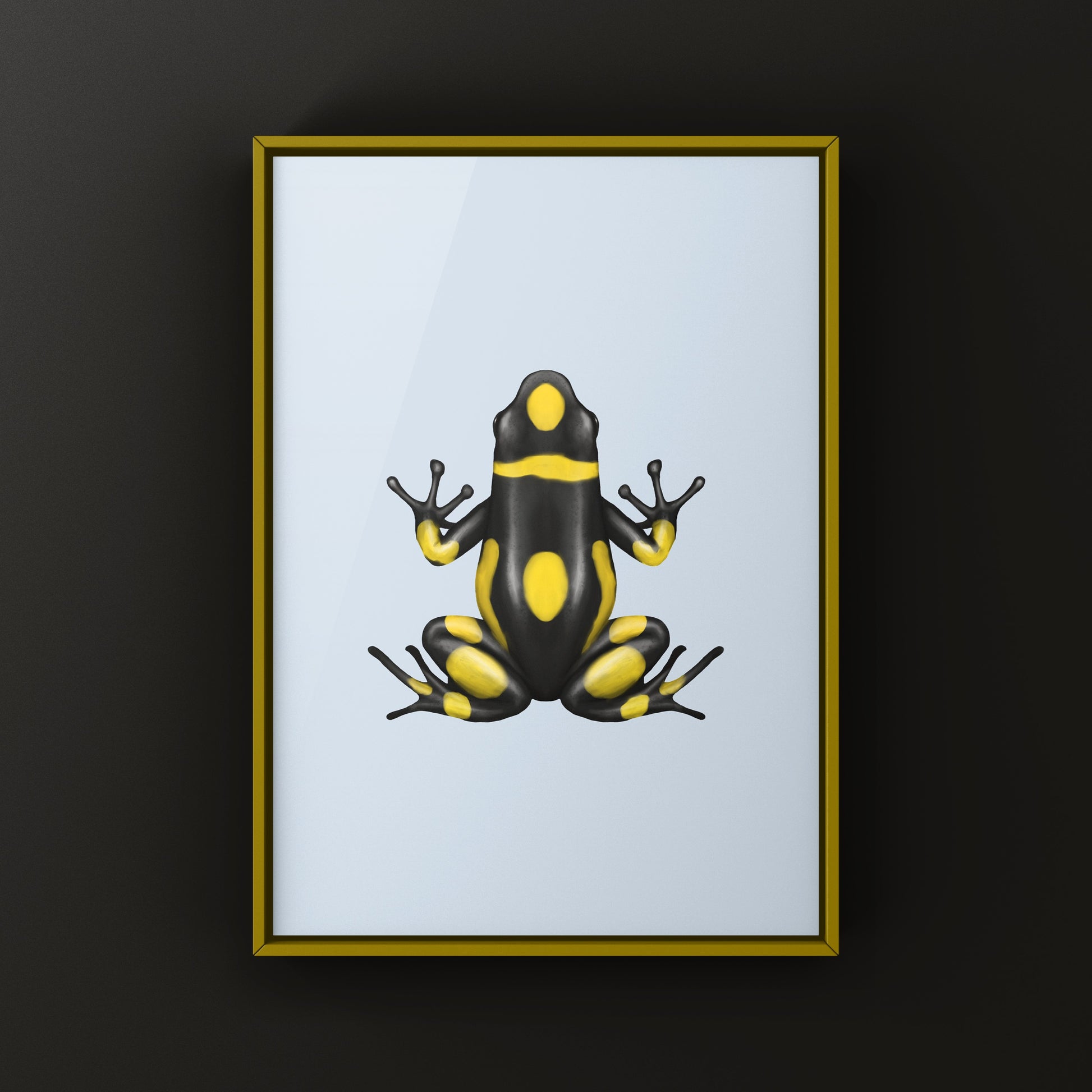 Colorful Playa de Oro Harlequin Poison Frog art print by The Silk Ranch, showcasing vibrant amphibian details and artistic design.