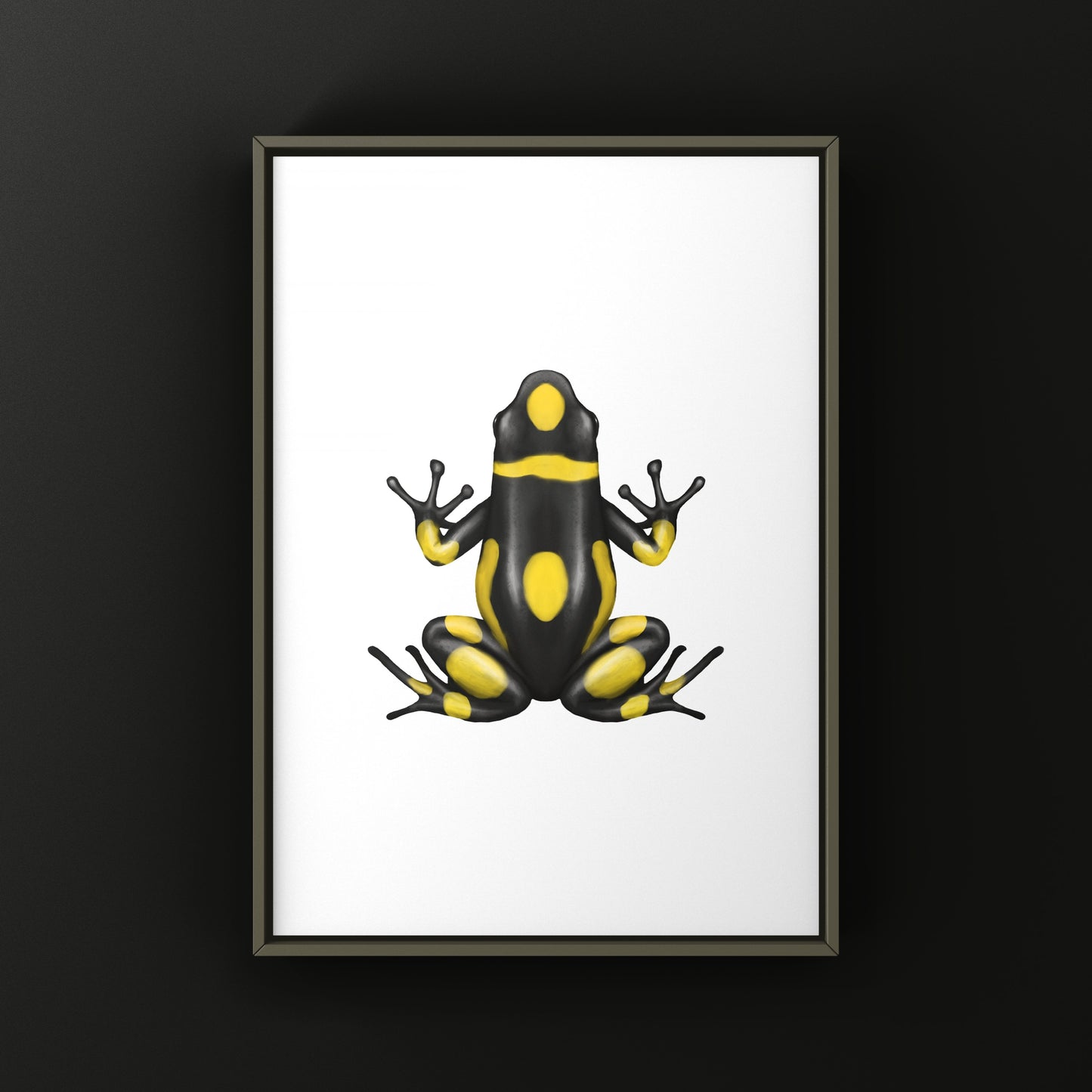 Colorful Playa de Oro Harlequin Poison Frog art print featuring vibrant Oophaga histrionica by The Silk Ranch.