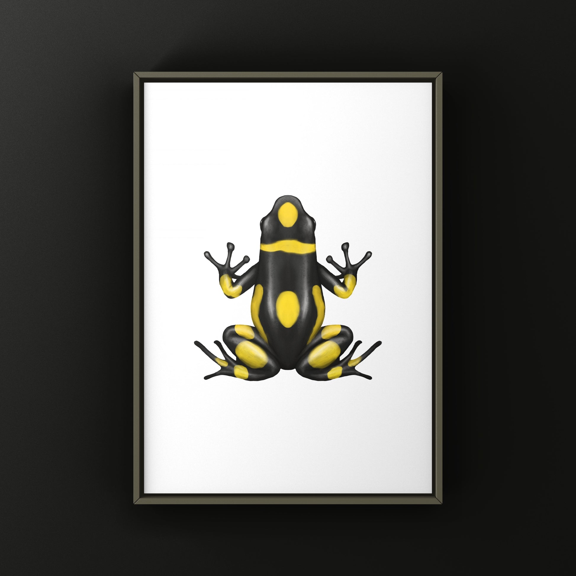 Colorful Playa de Oro Harlequin Poison Frog art print featuring vibrant Oophaga histrionica by The Silk Ranch.