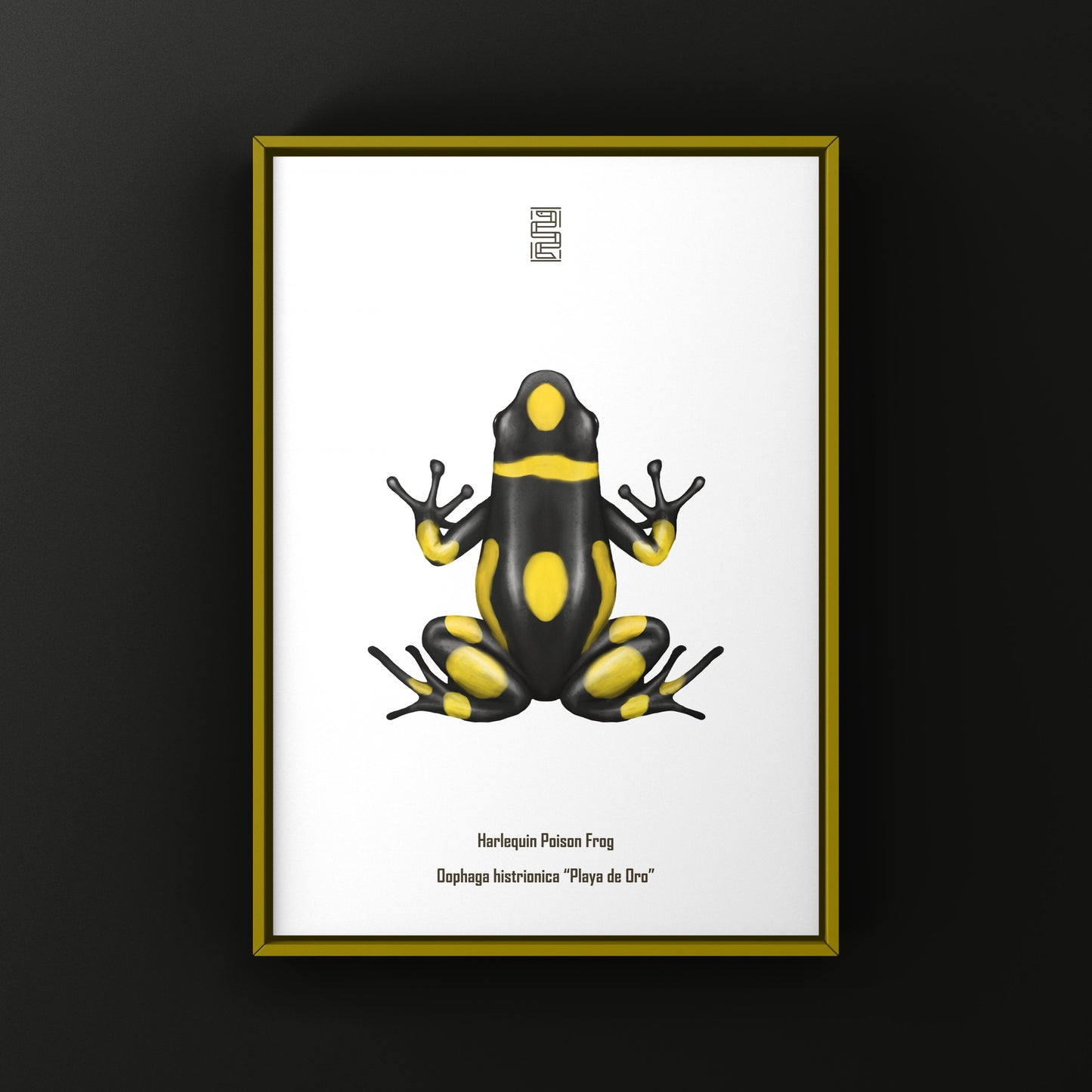 Colorful Playa de Oro Harlequin Poison Frog art print by The Silk Ranch, featuring vibrant Oophaga histrionica on a white background.