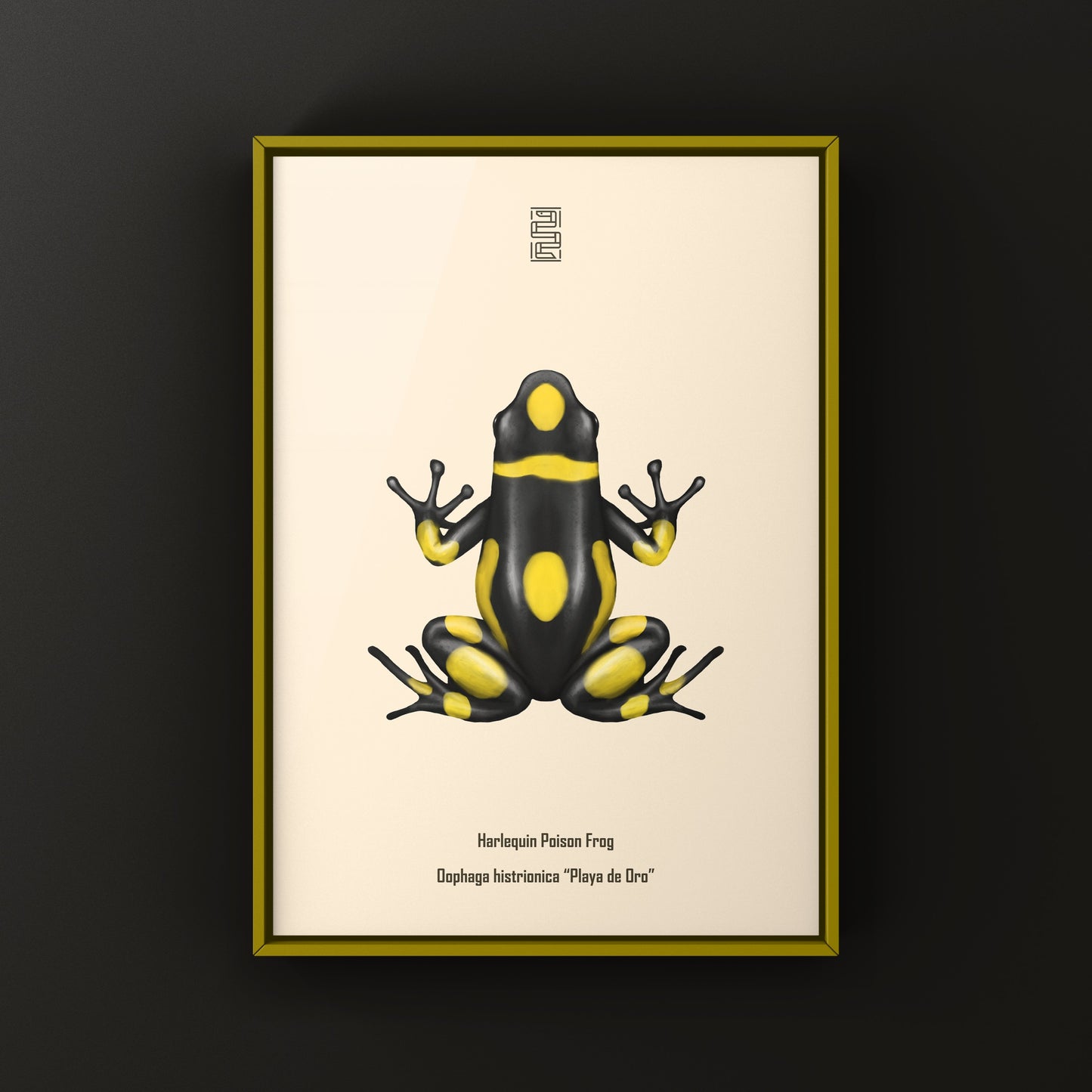 Colorful Playa de Oro Harlequin Poison Frog art print by The Silk Ranch showcasing vibrant amphibian artwork.
