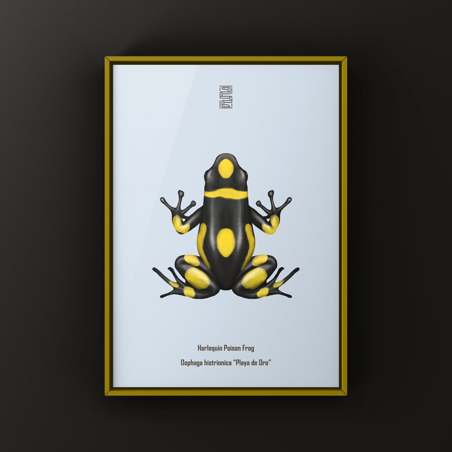 Colorful Playa de Oro Harlequin Poison Frog art print by The Silk Ranch, showcasing vibrant amphibian artwork on paper.