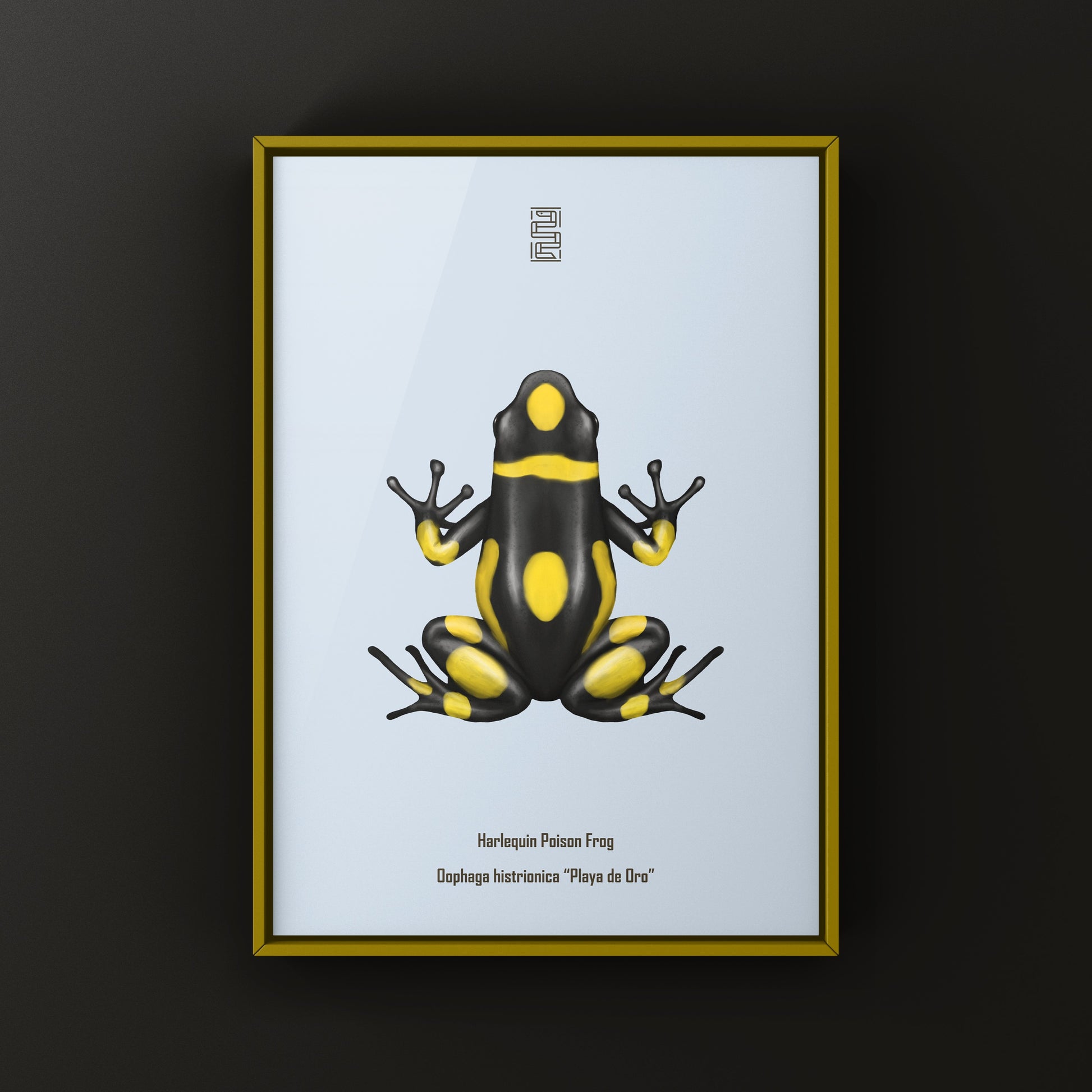 Colorful Playa de Oro Harlequin Poison Frog art print by The Silk Ranch, showcasing vibrant amphibian artwork on paper.