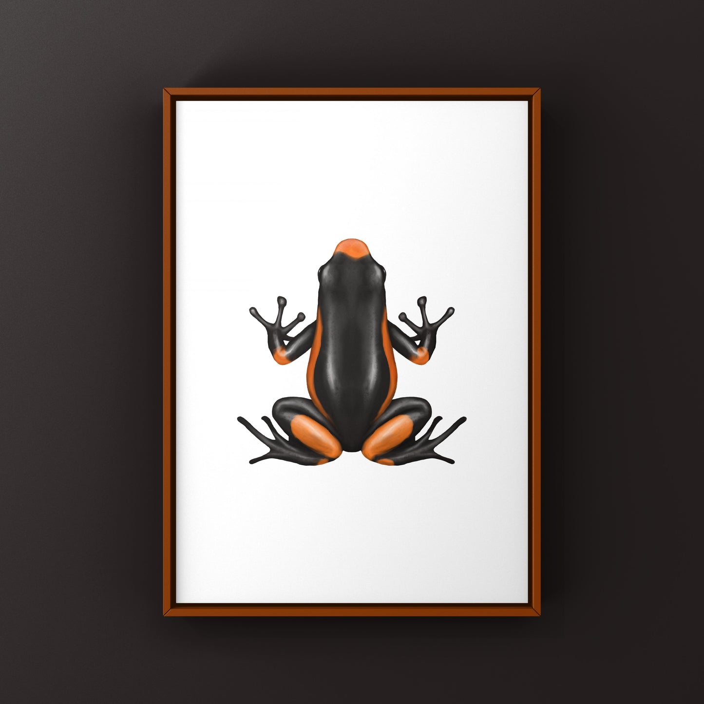 Colorful Saddleback Orange Harlequin Poison Frog art print by The Silk Ranch, showcasing vibrant orange and black amphibian details.