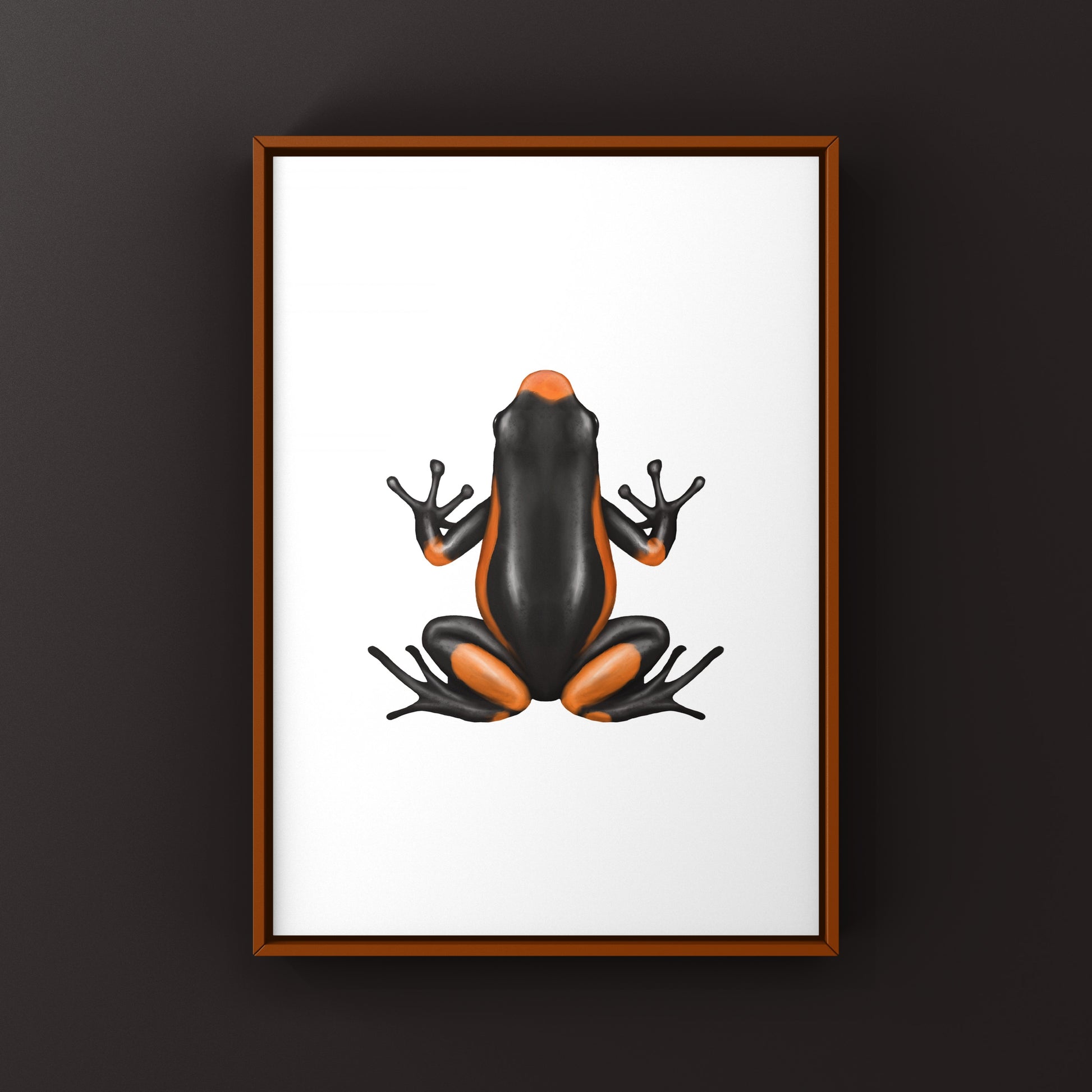 Colorful Saddleback Orange Harlequin Poison Frog art print by The Silk Ranch, showcasing vibrant orange and black amphibian details.