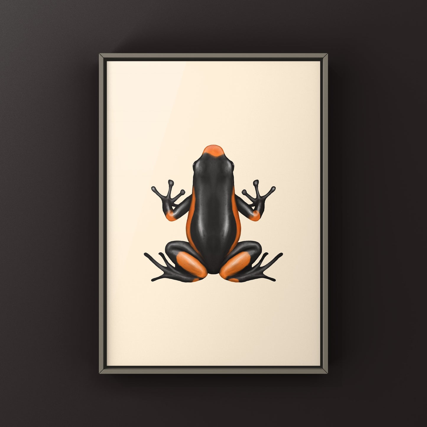 Colorful Saddleback Orange Harlequin Poison Frog art print featuring vibrant details of the Oophaga histrionica species.