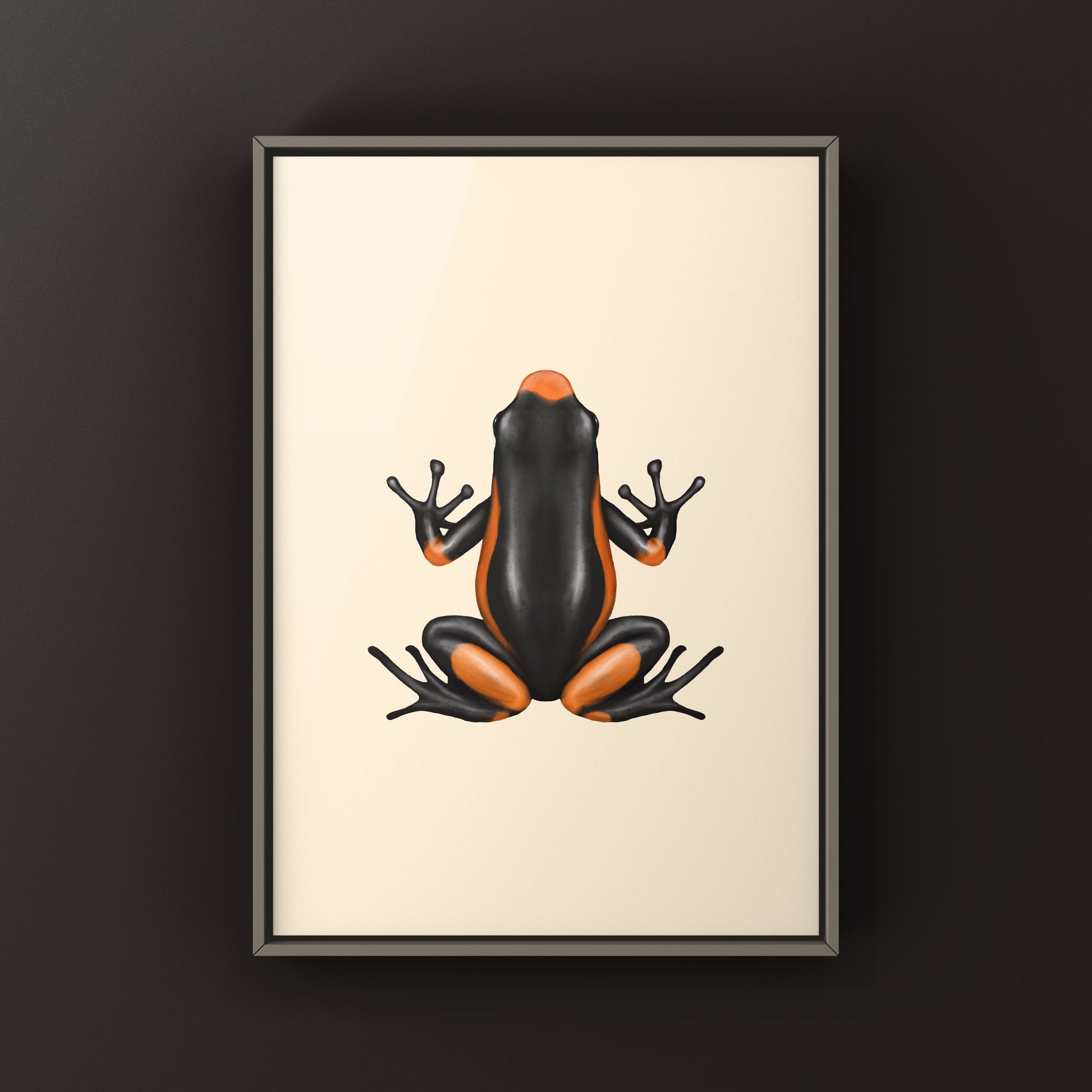Colorful Saddleback Orange Harlequin Poison Frog art print featuring vibrant details of the Oophaga histrionica species.
