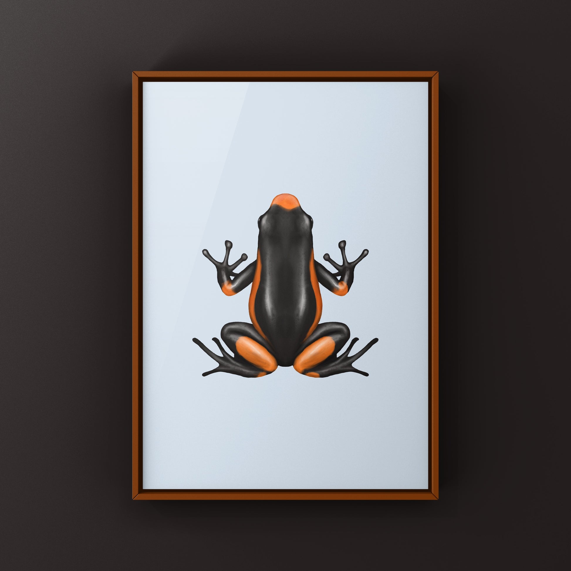 Colorful Saddleback Orange Harlequin Poison Frog art print by The Silk Ranch, showcasing vibrant orange and black frog details.
