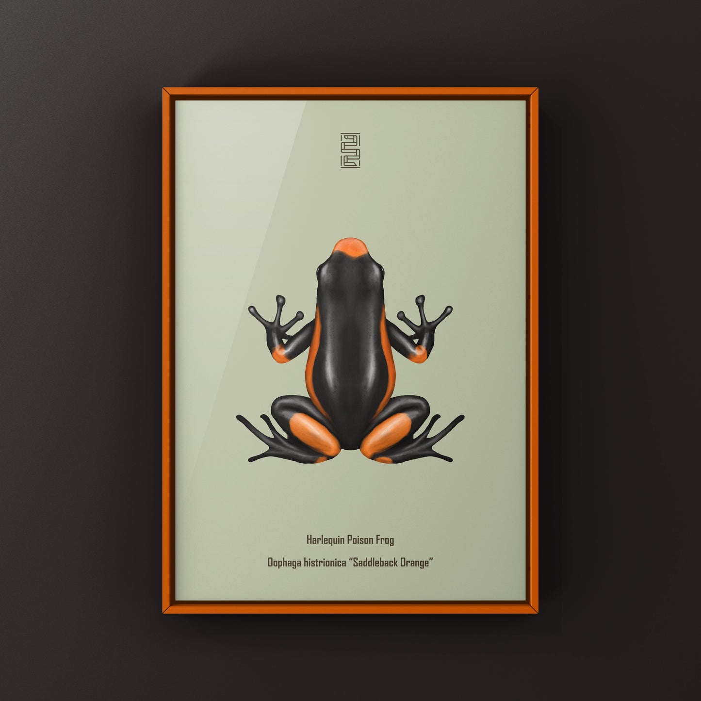 Colorful Saddleback Orange Harlequin Poison Frog art print by The Silk Ranch, showcasing vibrant amphibian details.