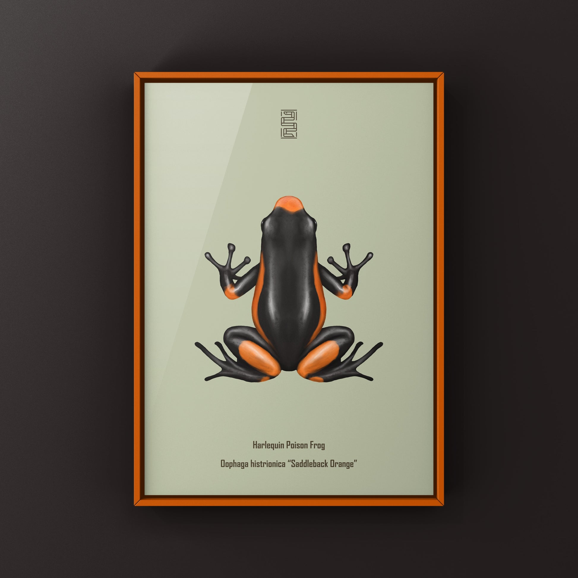 Colorful Saddleback Orange Harlequin Poison Frog art print by The Silk Ranch, showcasing vibrant amphibian details.