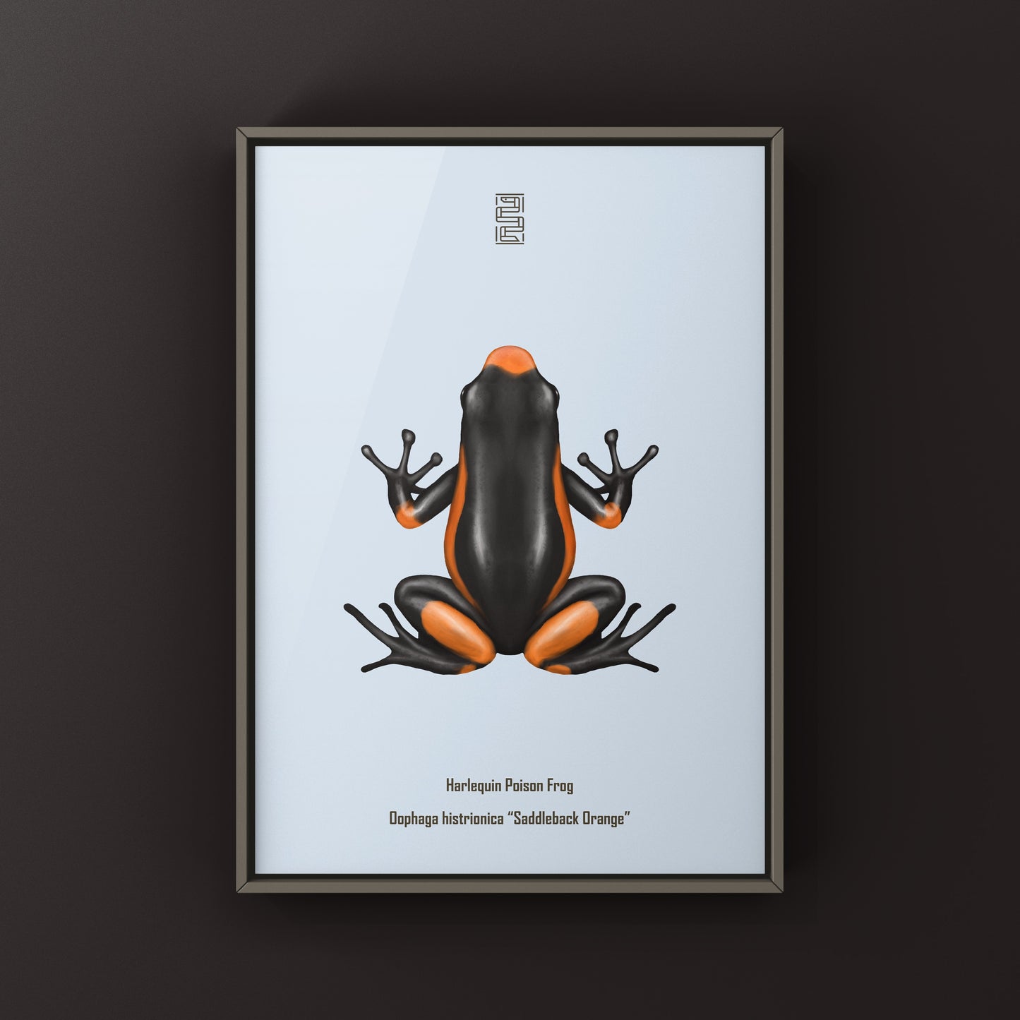 Colorful Saddleback Orange Harlequin Poison Frog art print featuring vibrant orange and black patterns, by The Silk Ranch.