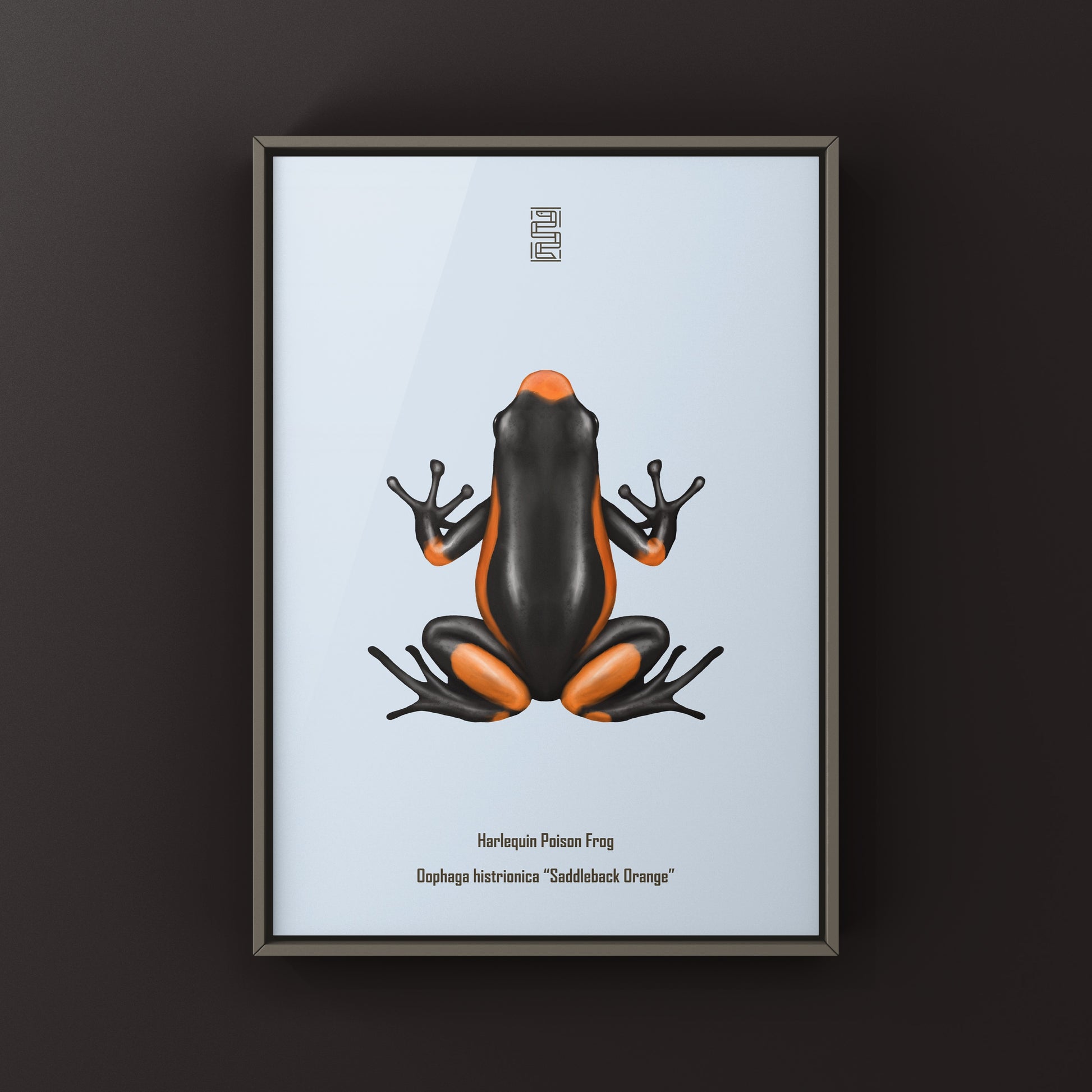 Colorful Saddleback Orange Harlequin Poison Frog art print featuring vibrant orange and black patterns, by The Silk Ranch.