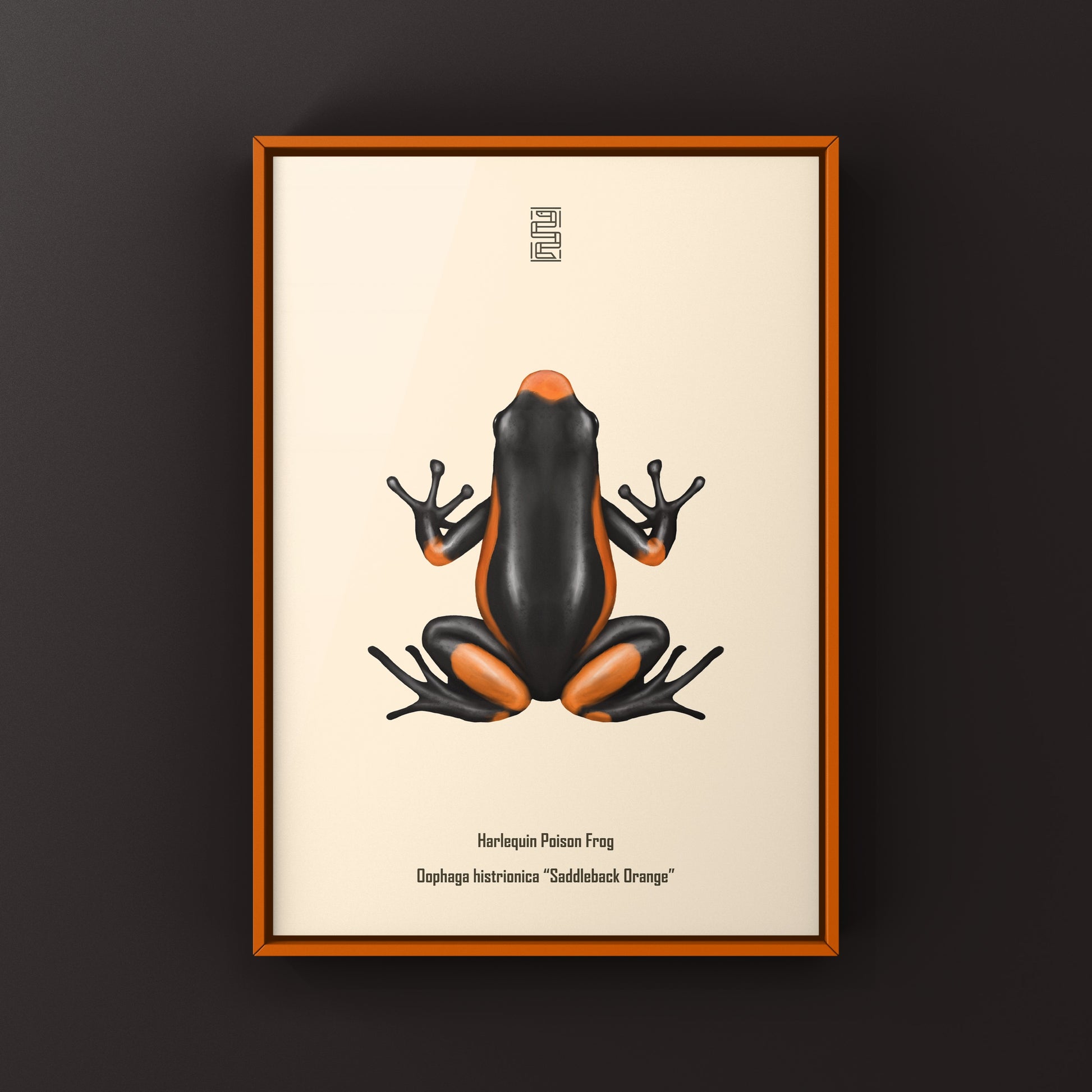 Colorful Saddleback Orange Harlequin Poison Frog art print by The Silk Ranch, showcasing vibrant amphibian details.