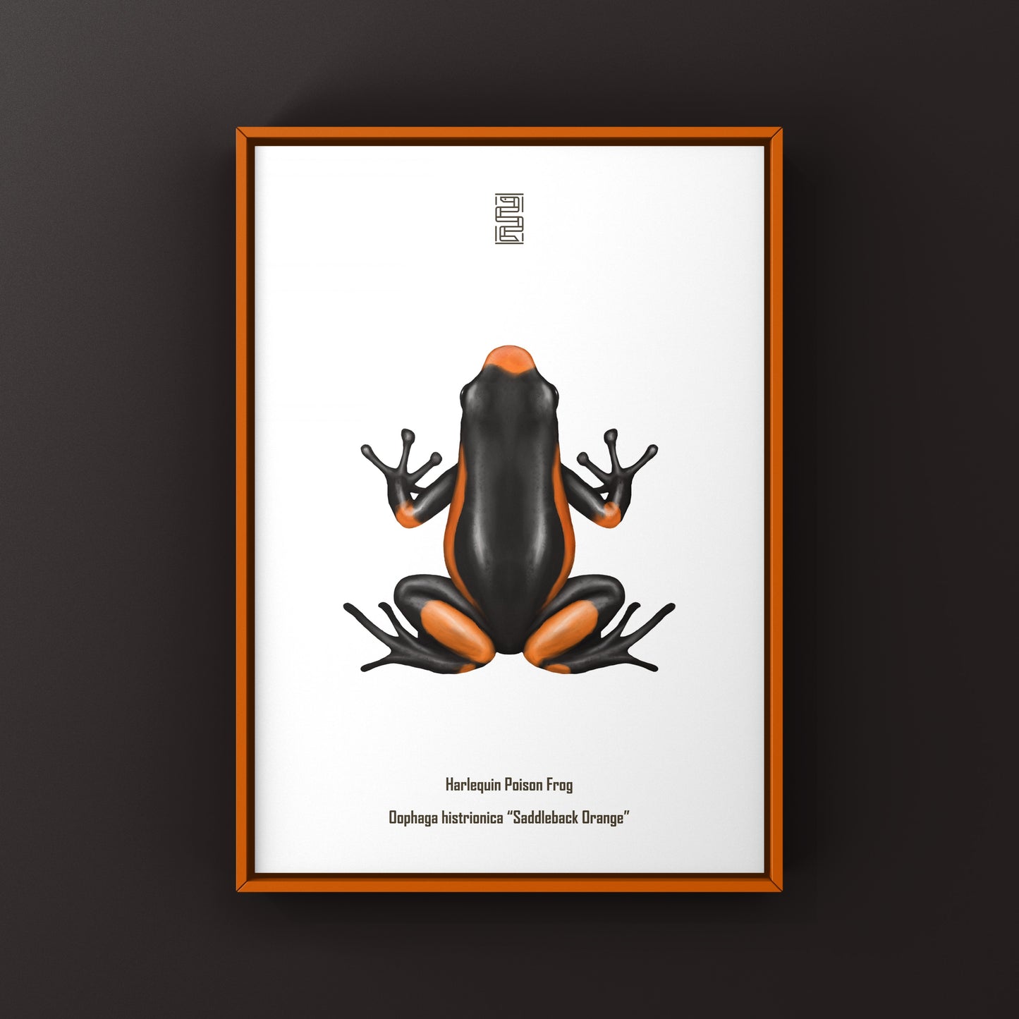 Colorful Saddleback Orange Harlequin Poison Frog art print by The Silk Ranch, featuring vibrant orange and black frog detail.