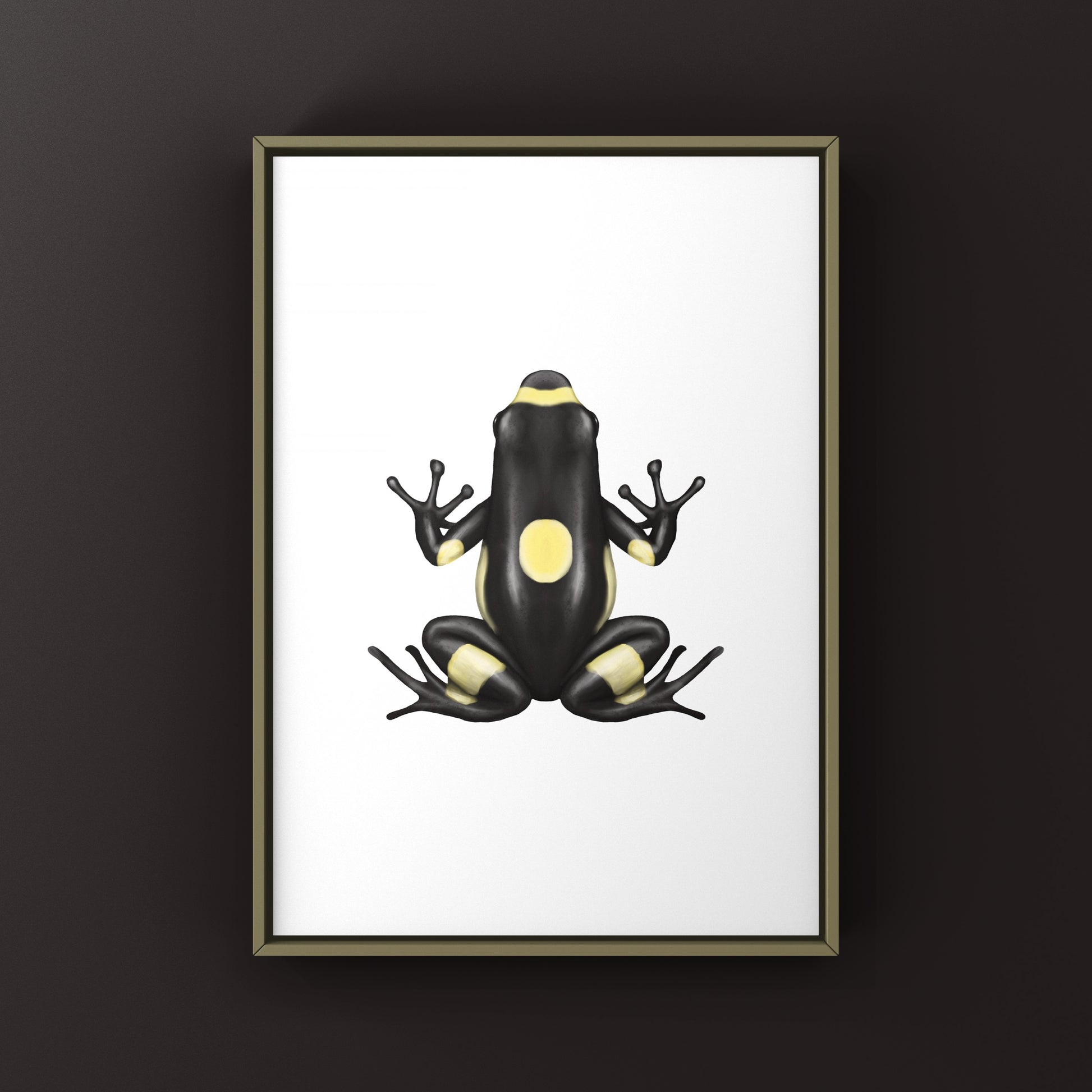 Colorful Harlequin Poison Frog art print by The Silk Ranch, showcasing vibrant Oophaga histrionica in detailed illustration.