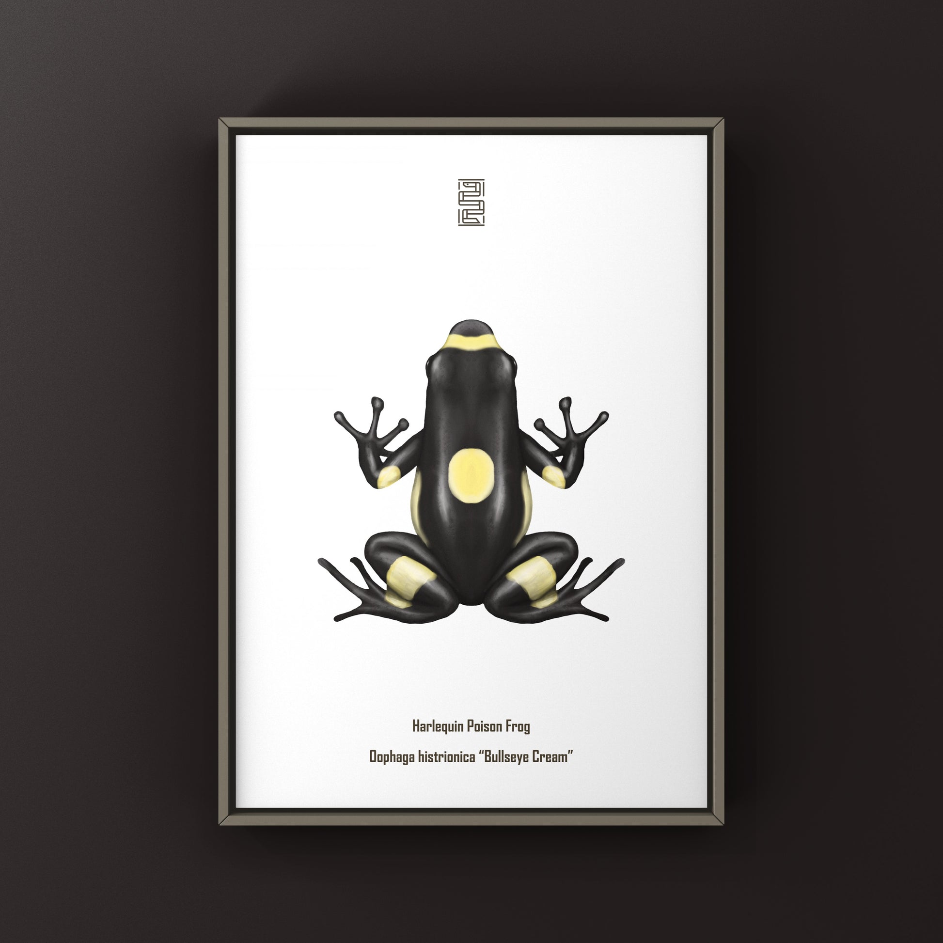 Harlequin Poison Frog art print featuring vibrant colors and detailed illustration, by The Silk Ranch.