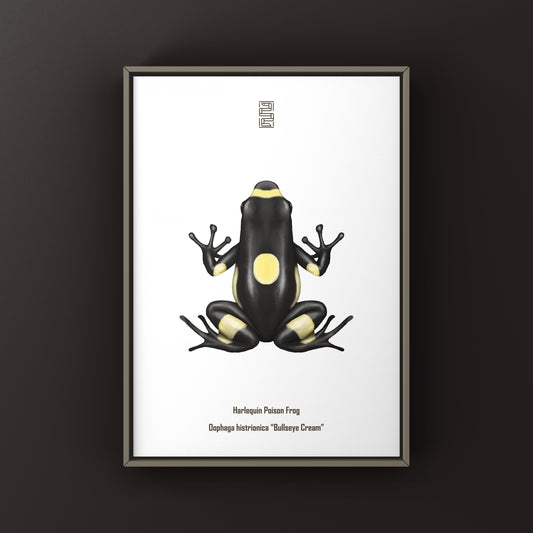 Harlequin Poison Frog art print featuring vibrant colors and detailed illustration, by The Silk Ranch.