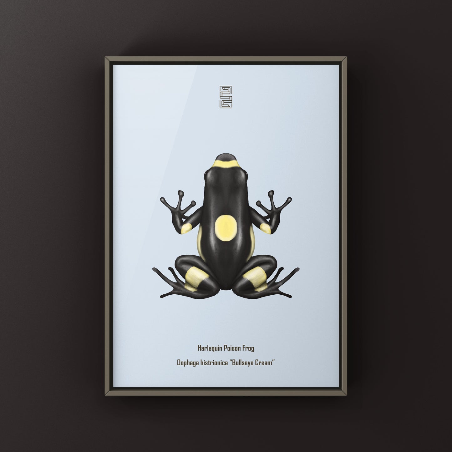 Harlequin poison frog art print featuring vibrant colors and detailed illustration, created by The Silk Ranch.