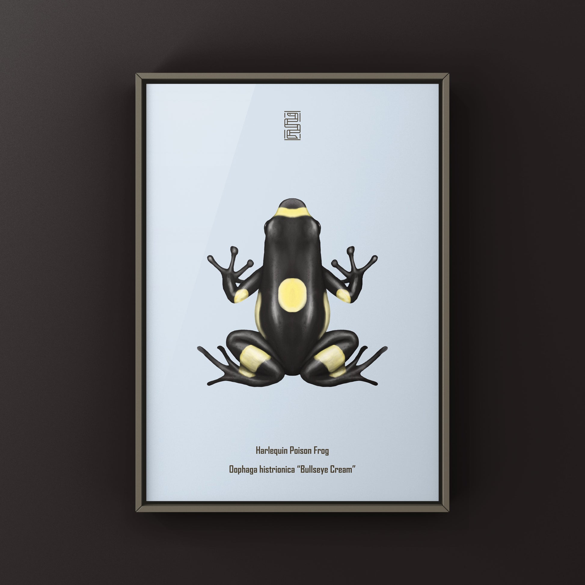 Harlequin poison frog art print featuring vibrant colors and detailed illustration, created by The Silk Ranch.