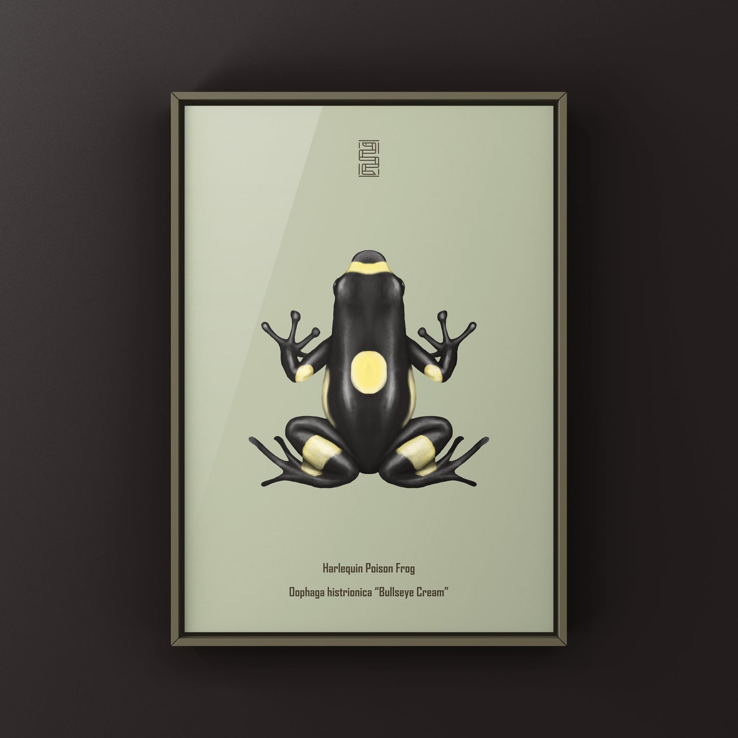 Harlequin Poison Frog art print by The Silk Ranch, showcasing vibrant colors and detailed illustration of Oophaga histrionica.
