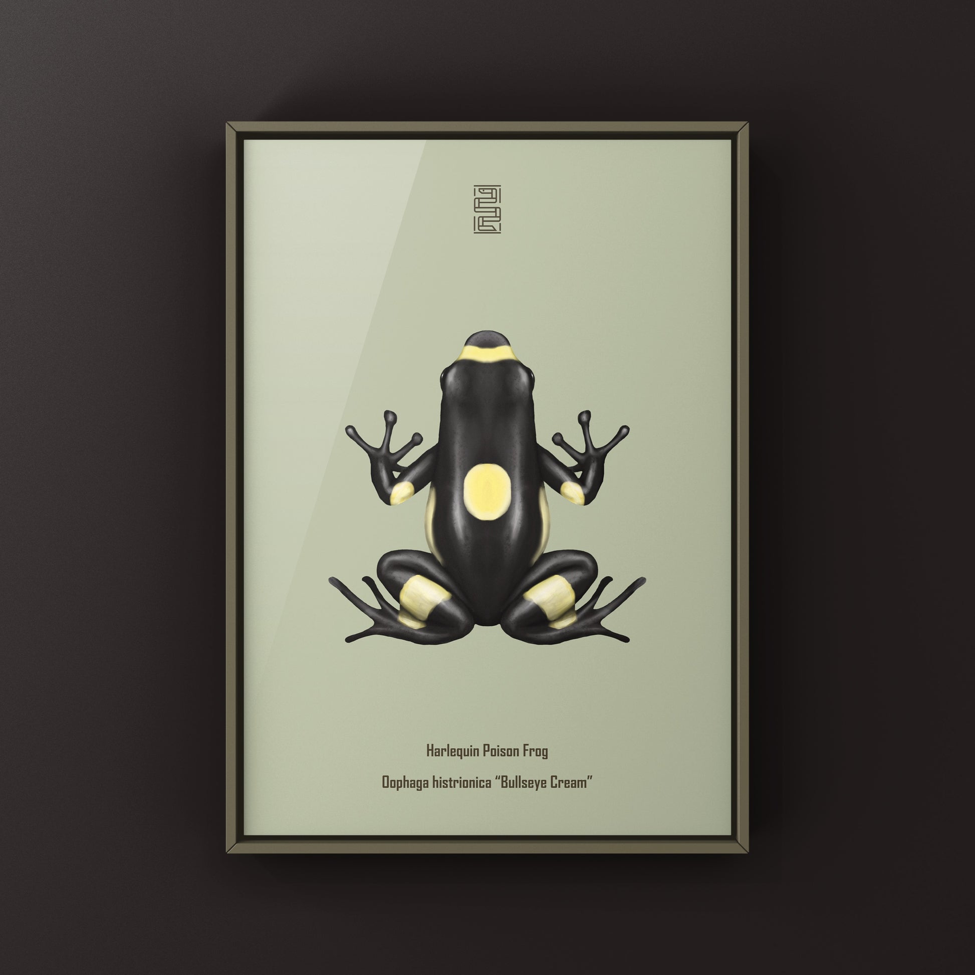 Harlequin Poison Frog art print by The Silk Ranch, showcasing vibrant colors and detailed illustration of Oophaga histrionica.