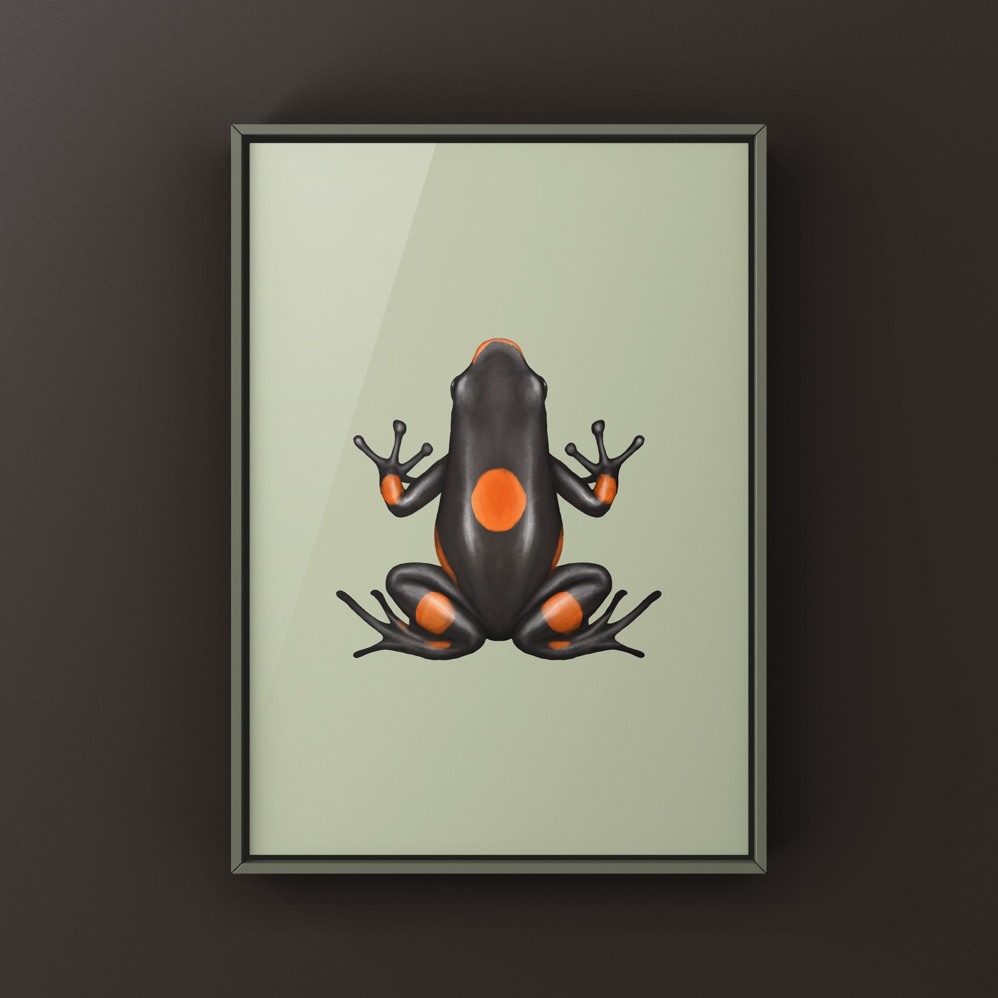 Bullseye Brown Harlequin Poison Frog art print by The Silk Ranch, featuring vibrant brown and orange frog illustration.