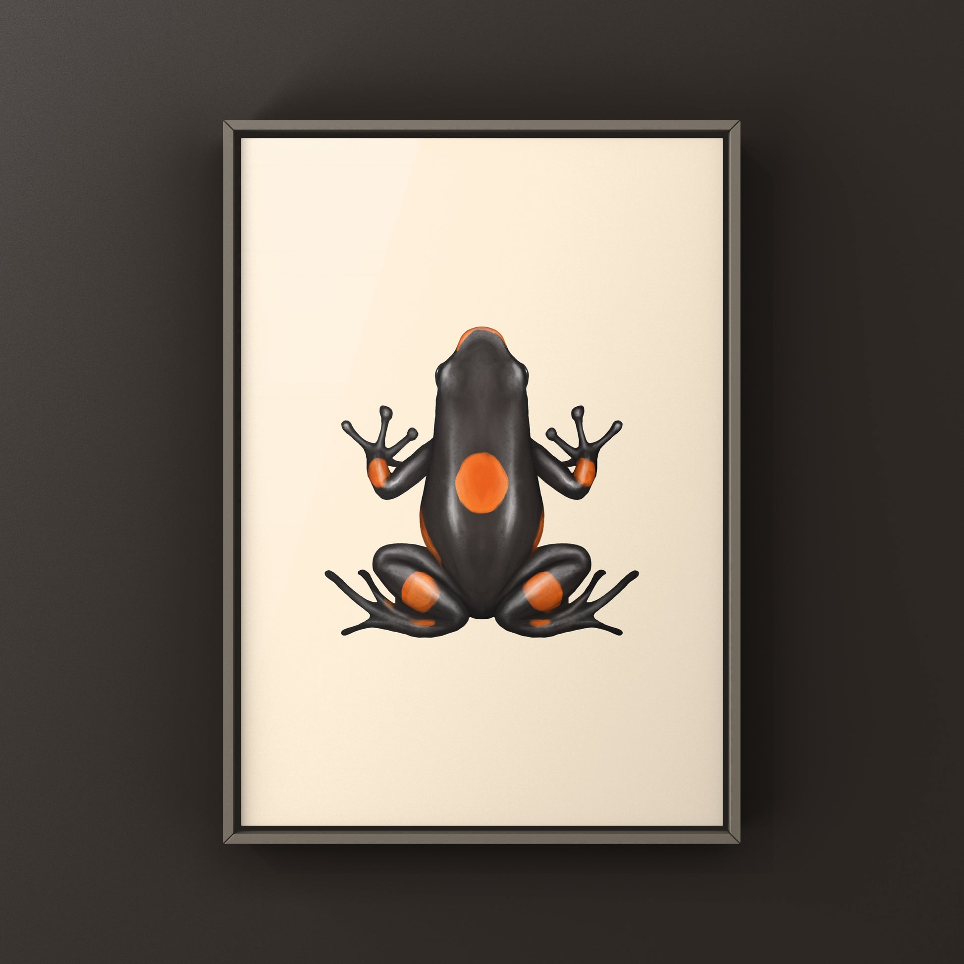 Colorful Bullseye Brown Harlequin Poison Frog art print by The Silk Ranch, showcasing vibrant amphibian details.