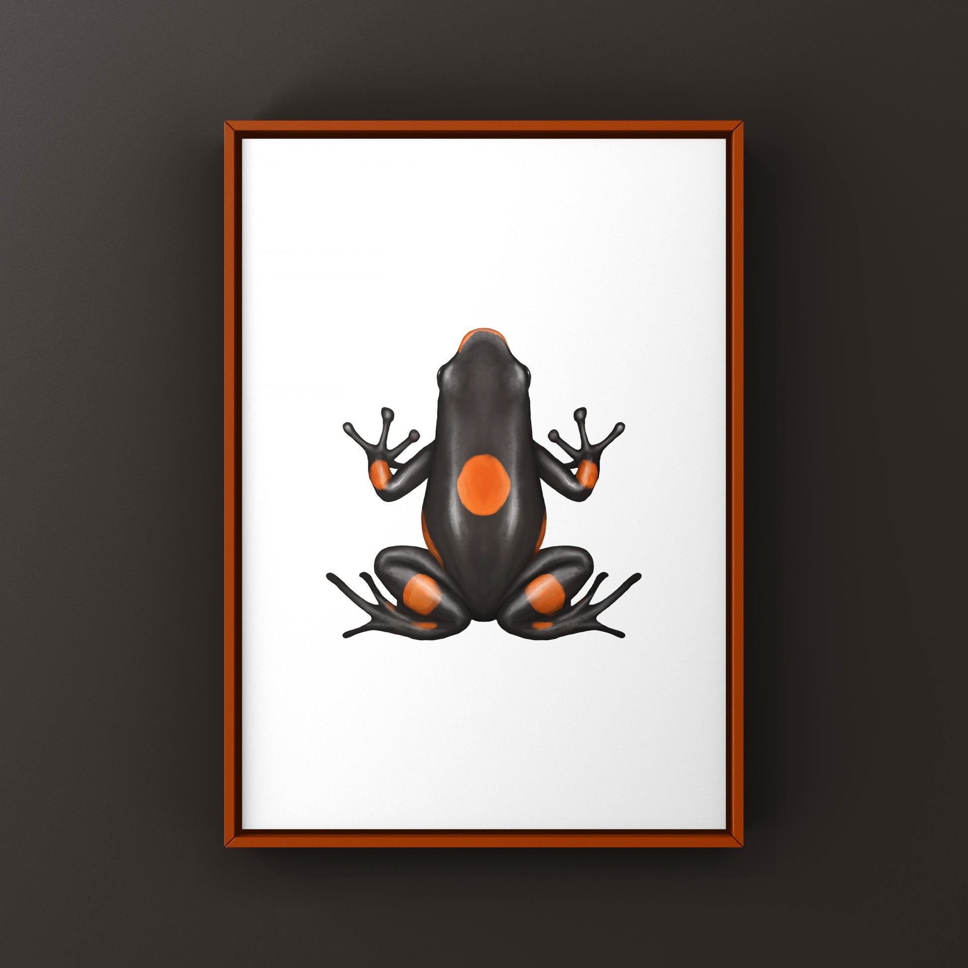 Bullseye Brown Harlequin Poison Frog art print featuring vibrant colors and detailed illustration of Oophaga histrionica.