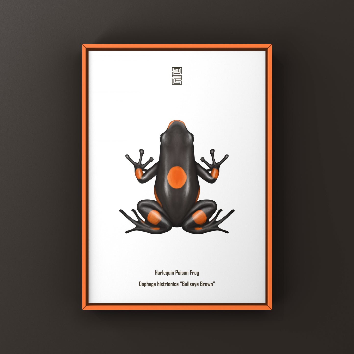 Brown Harlequin Poison Frog art print featuring vibrant colors and detailed illustration of Oophaga histrionica by The Silk Ranch.