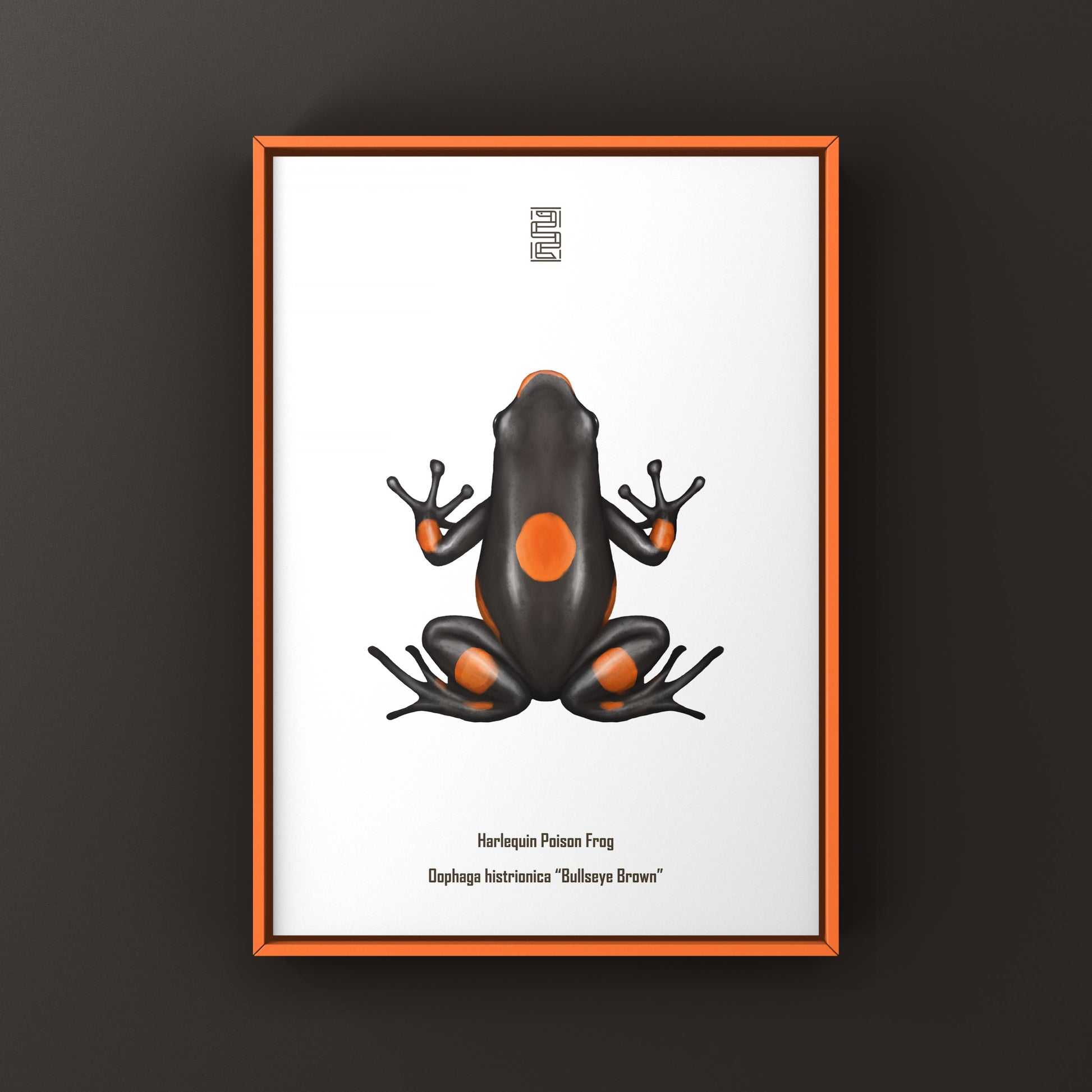 Brown Harlequin Poison Frog art print featuring vibrant colors and detailed illustration of Oophaga histrionica by The Silk Ranch.