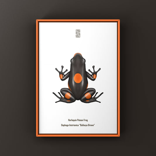 Brown Harlequin Poison Frog art print featuring vibrant colors and detailed illustration of Oophaga histrionica by The Silk Ranch.