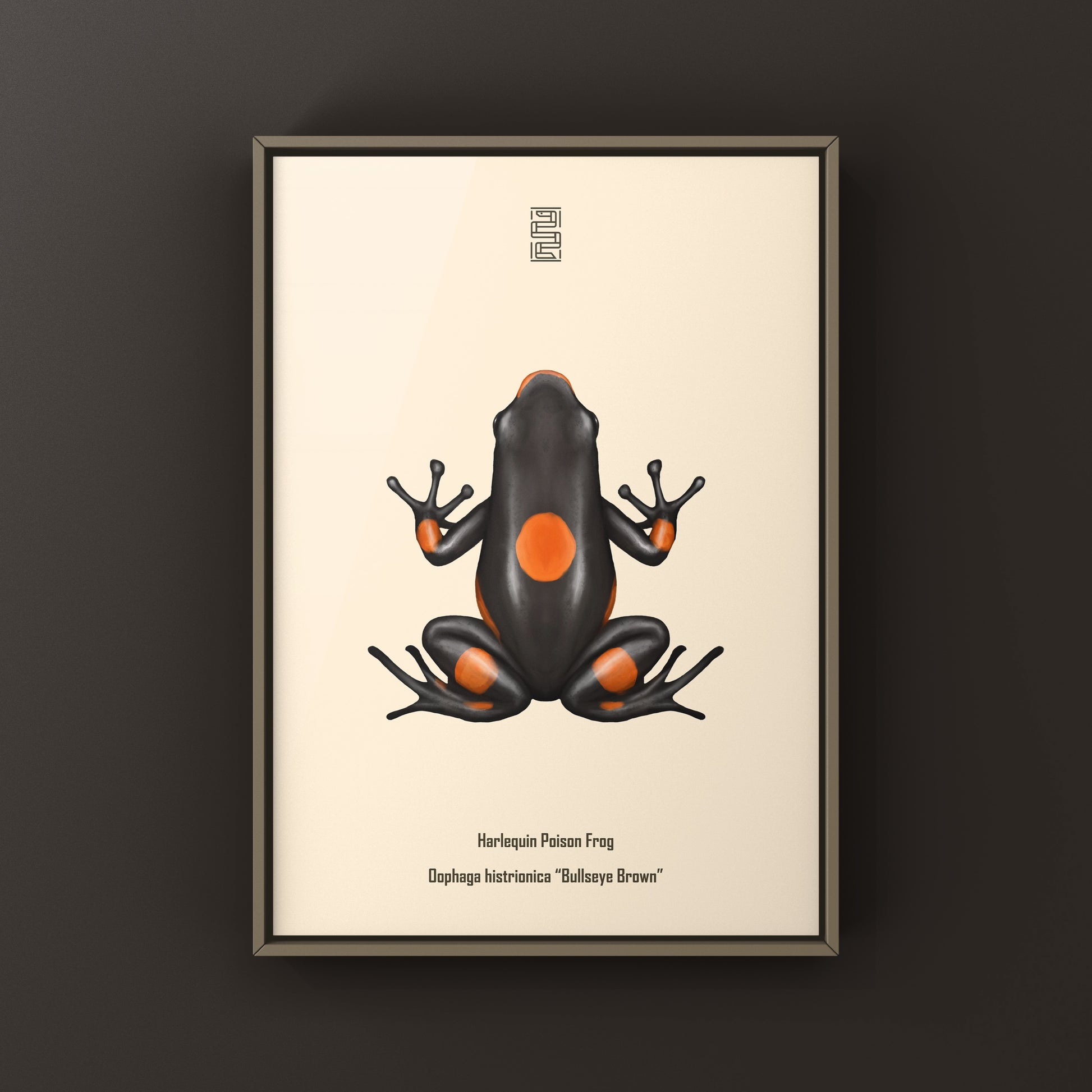 Colorful Bullseye Brown Harlequin Poison Frog art print featuring vibrant patterns, created by The Silk Ranch.