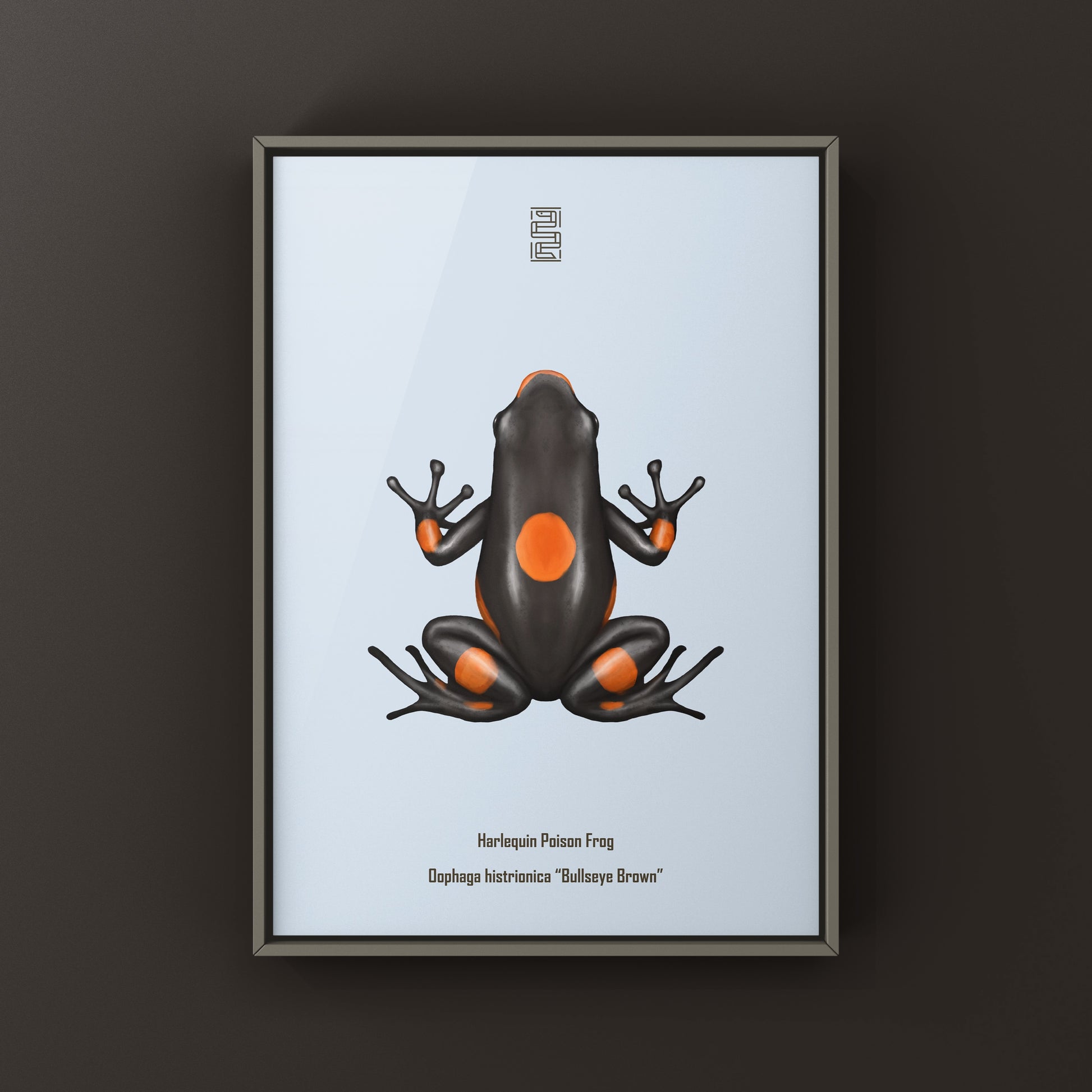 Brown Harlequin Poison Frog art print featuring vibrant colors and detailed illustration of Oophaga histrionica by The Silk Ranch
