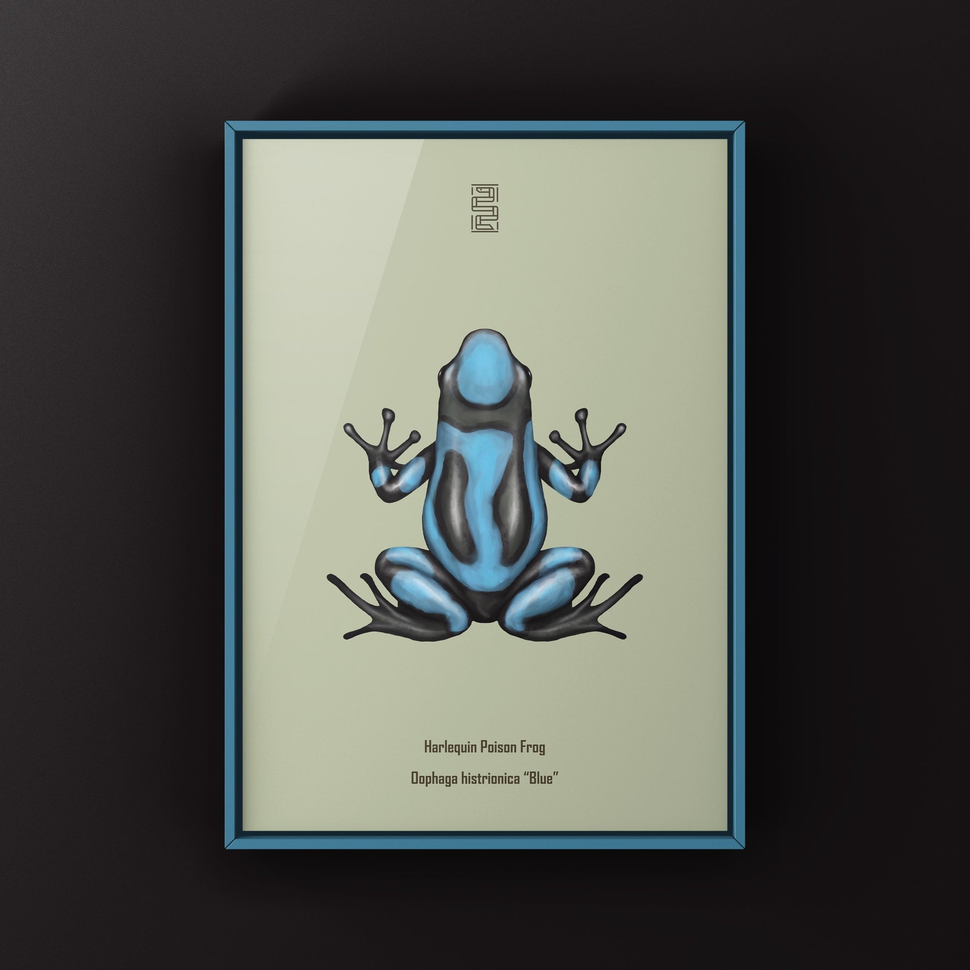 Blue Harlequin Poison Frog art print by The Silk Ranch showing vibrant frog illustration on high-quality paper.