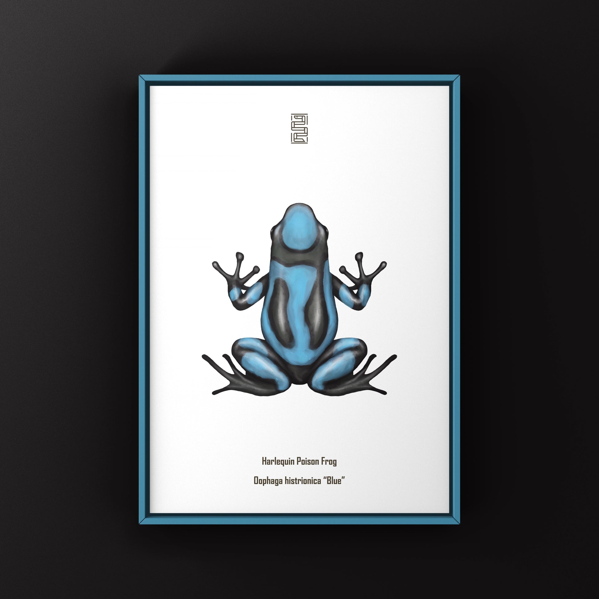 Blue Harlequin Poison Frog art print by The Silk Ranch showing vibrant blue and black patterned frog on white background.